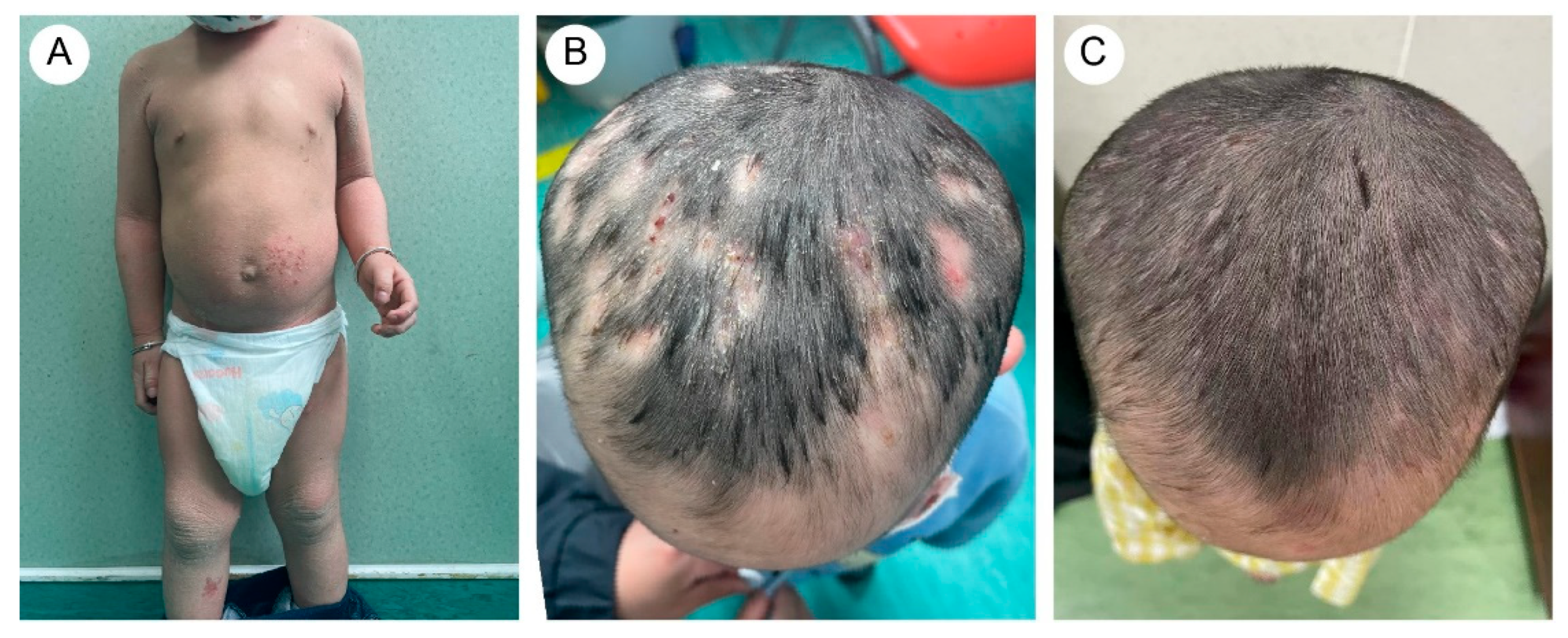 Biomedicines 13 02015 g002