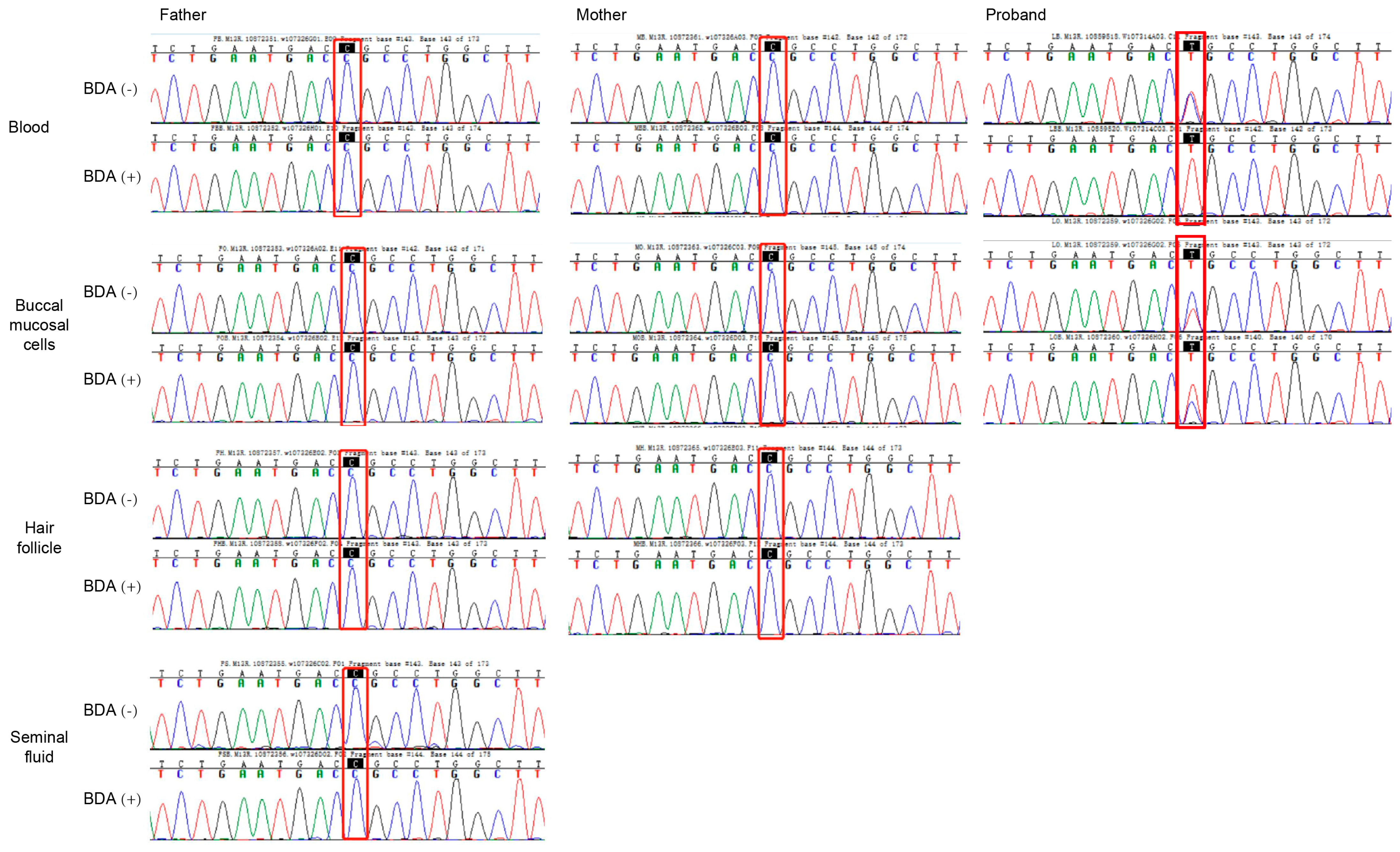 Biomedicines 13 02015 g004