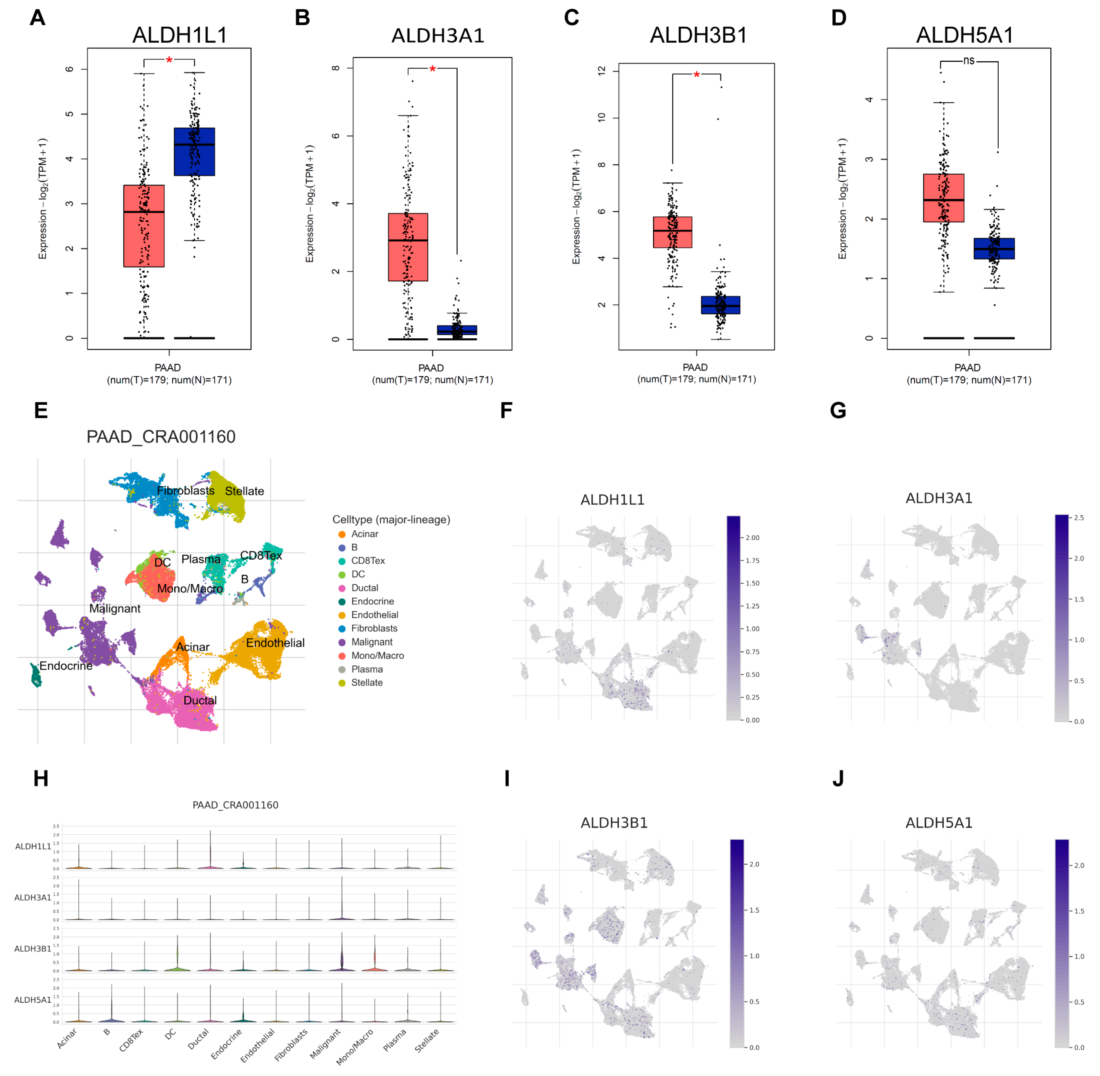 Biomedicines 13 02018 g002