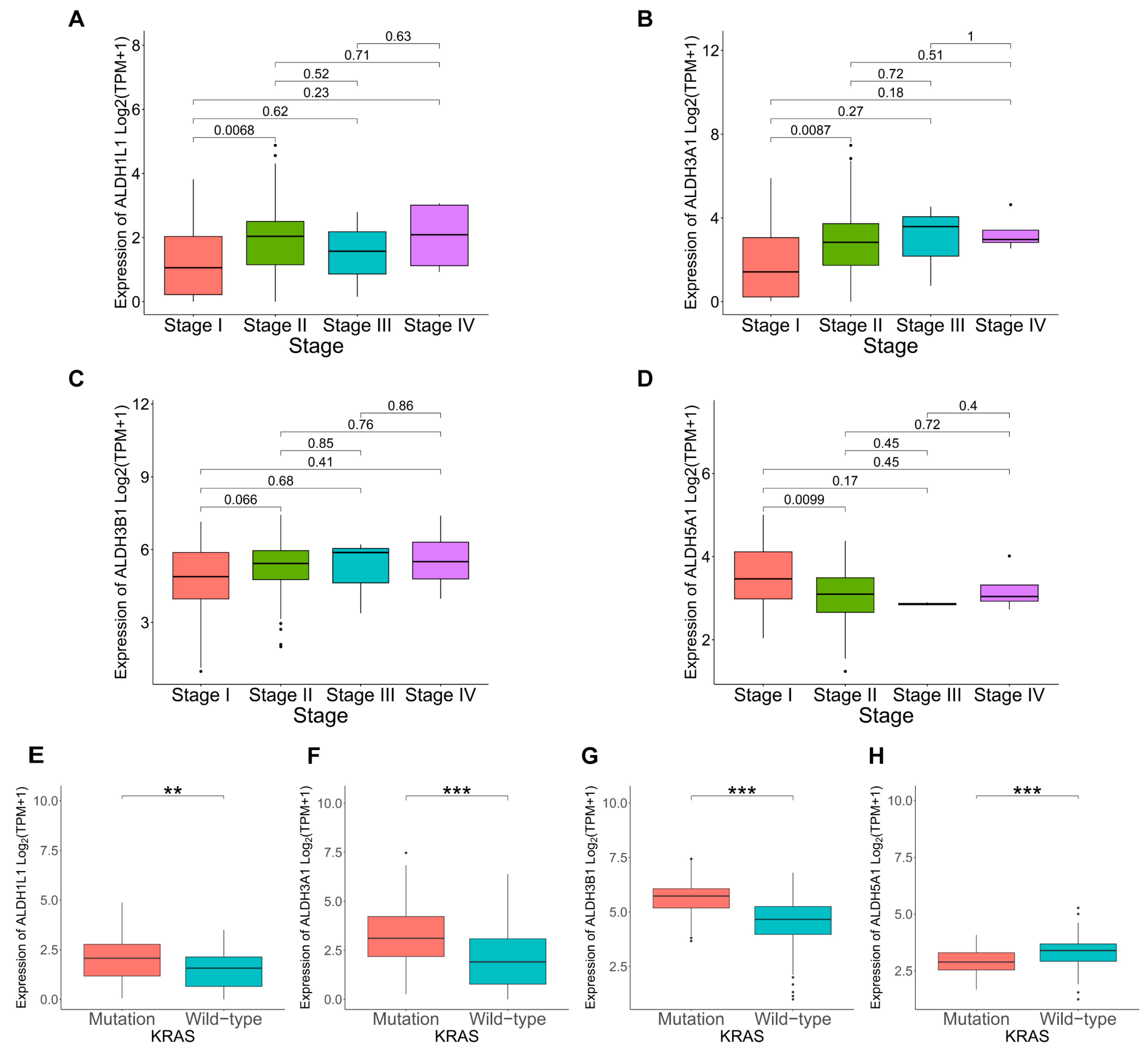 Biomedicines 13 02018 g004