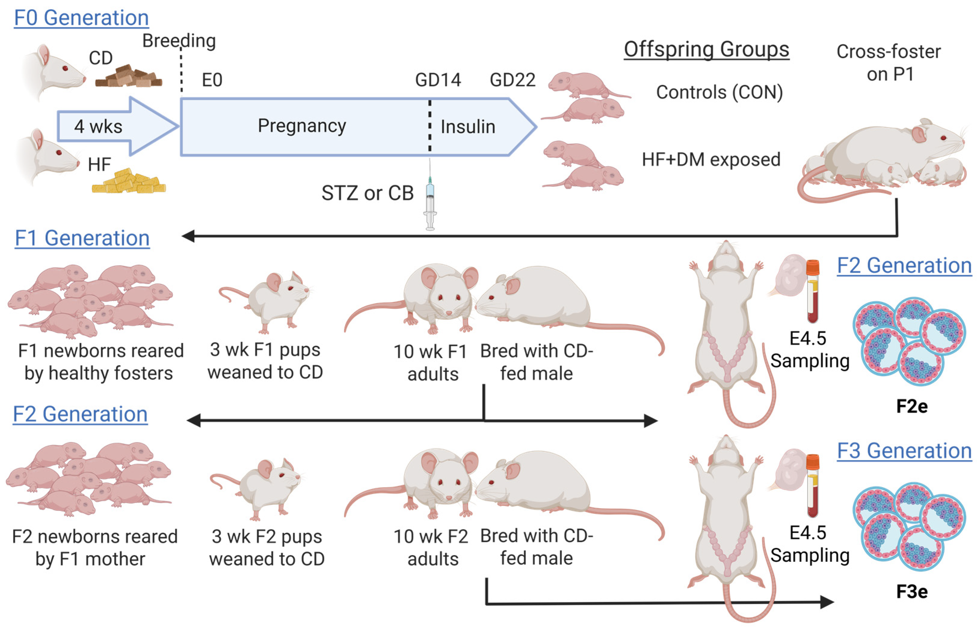 Biomedicines 13 02019 g001