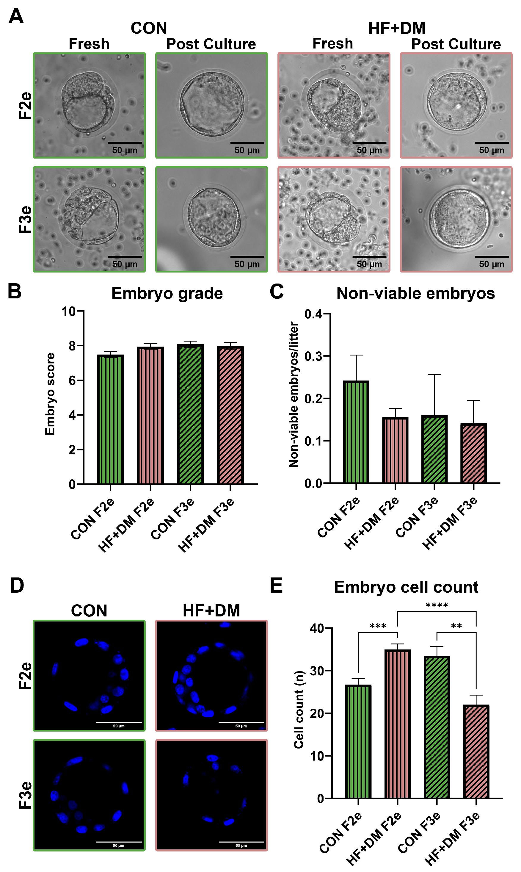 Biomedicines 13 02019 g002