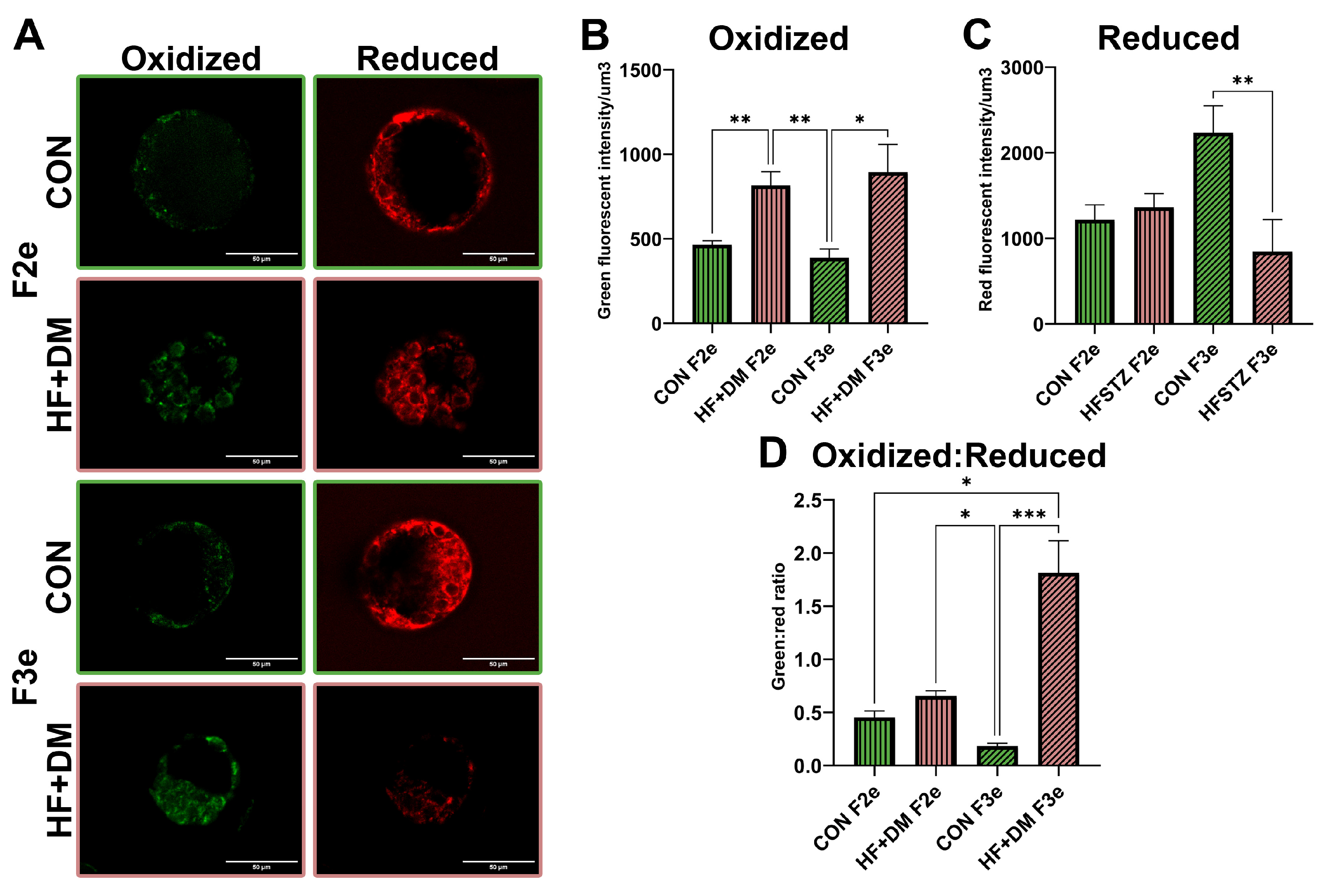 Biomedicines 13 02019 g003