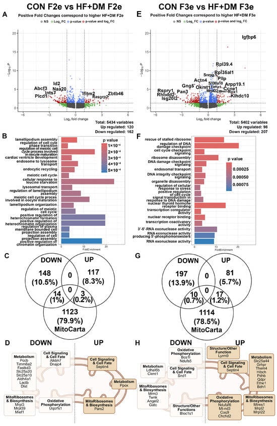 Biomedicines 13 02019 g004