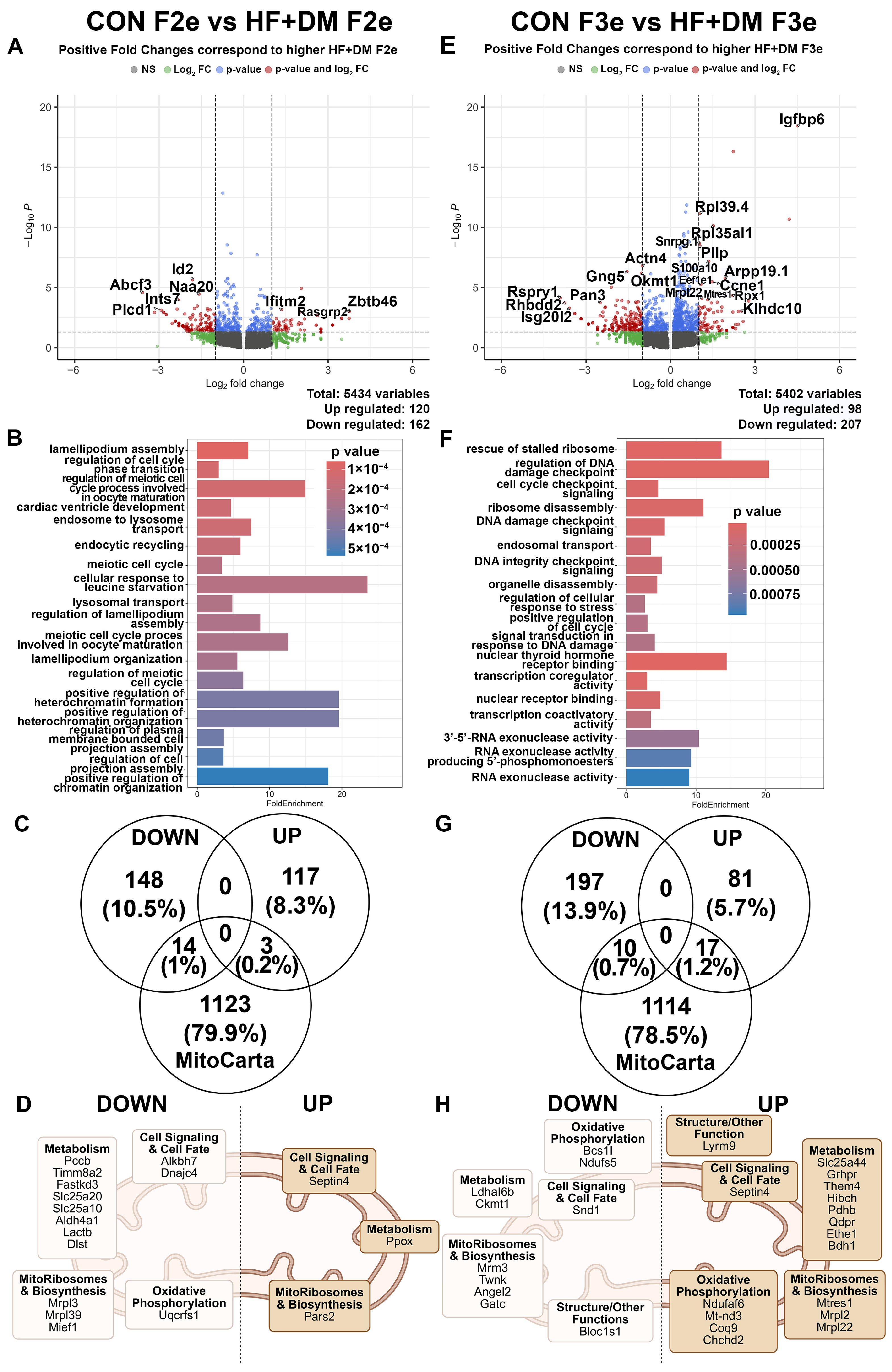 Biomedicines 13 02019 g004