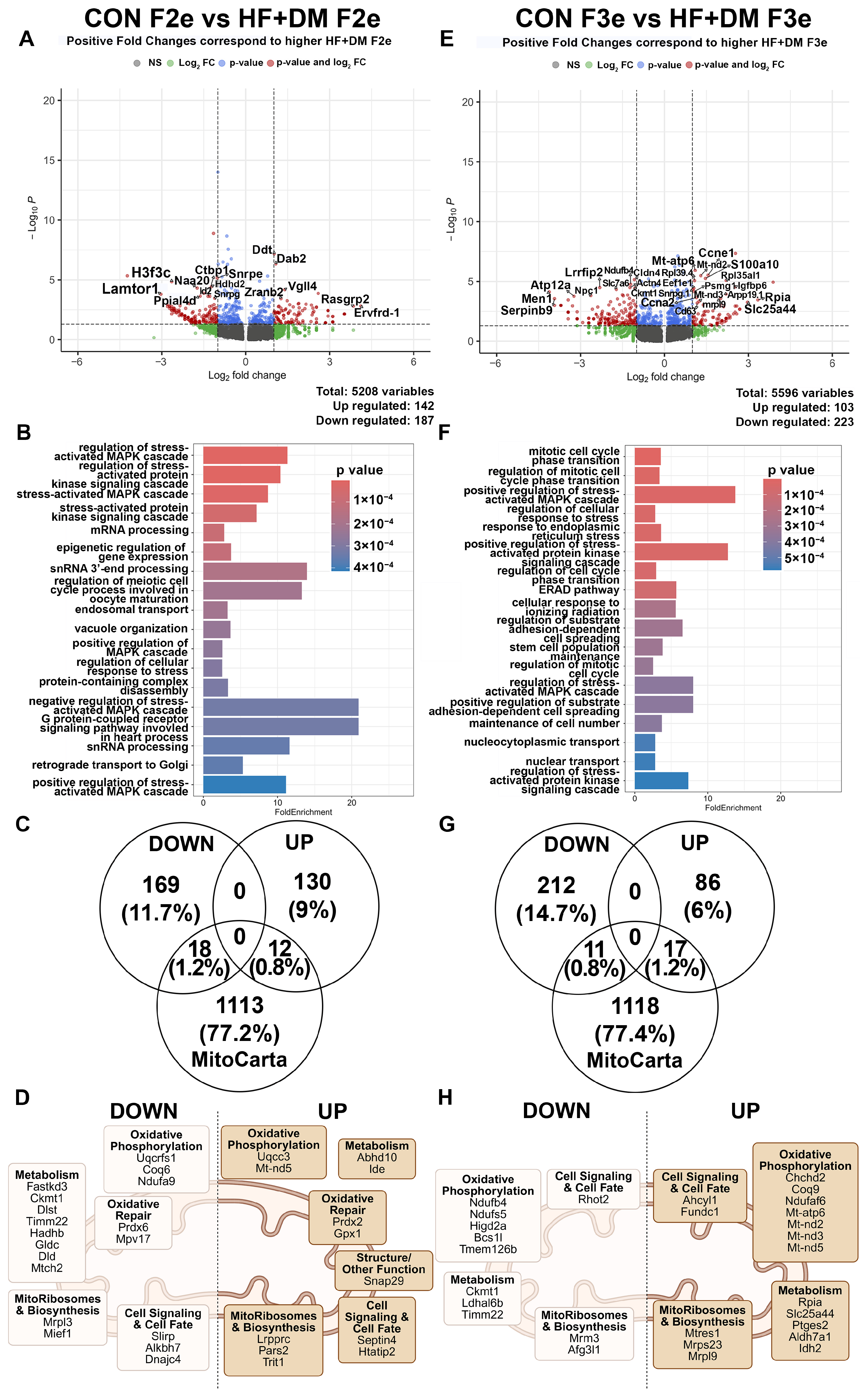 Biomedicines 13 02019 g005