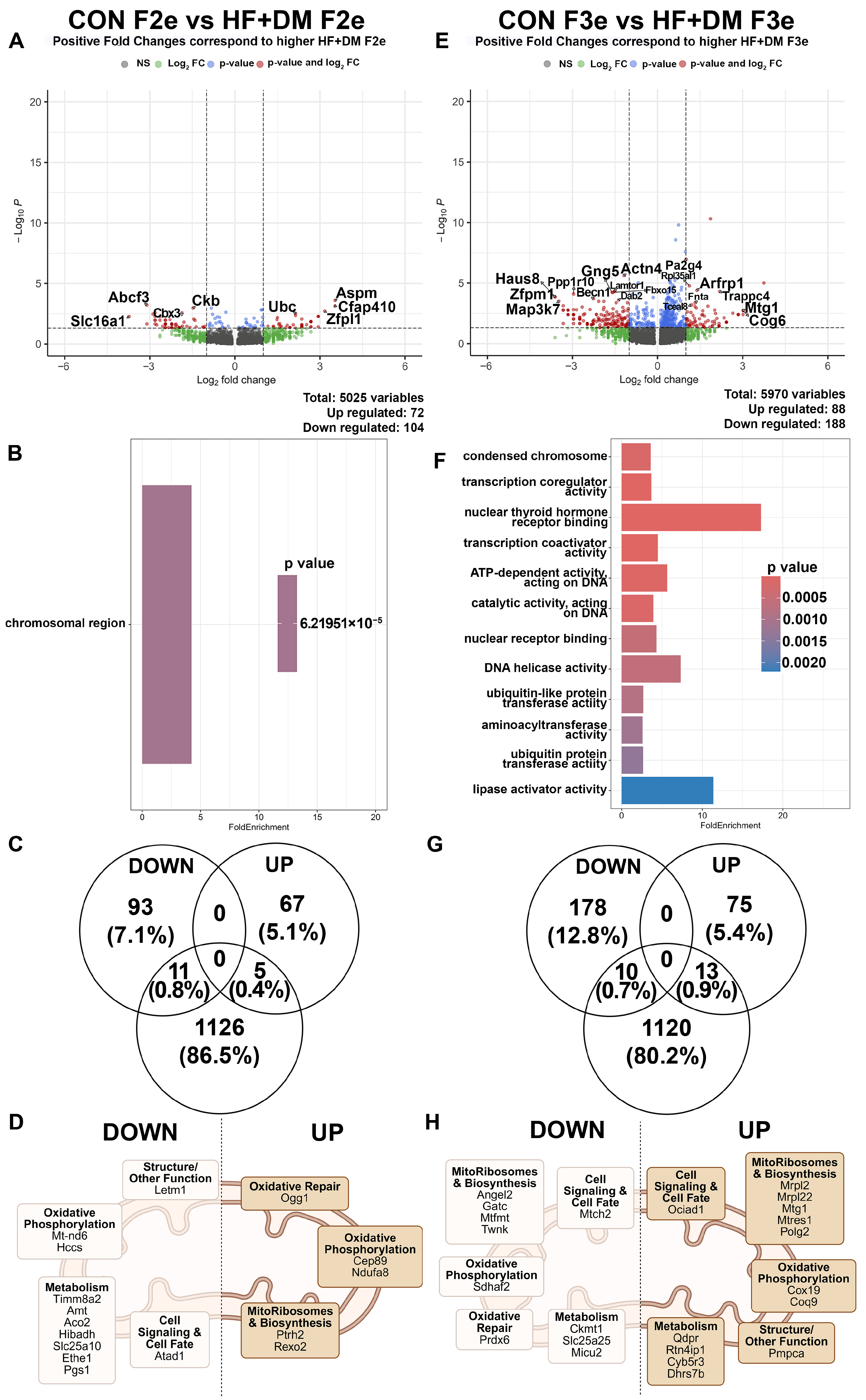 Biomedicines 13 02019 g006