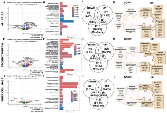 Biomedicines 13 02019 g007