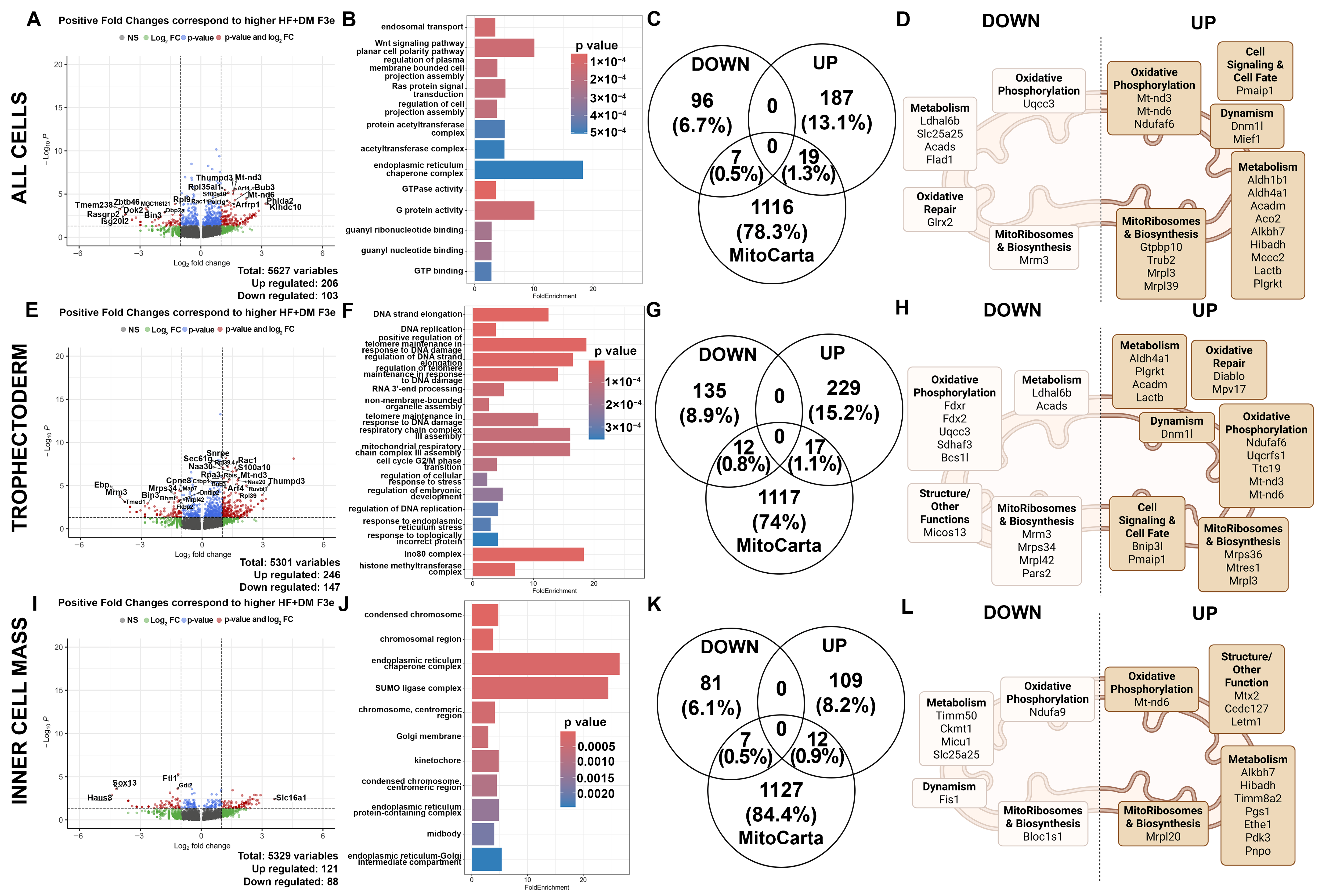 Biomedicines 13 02019 g007