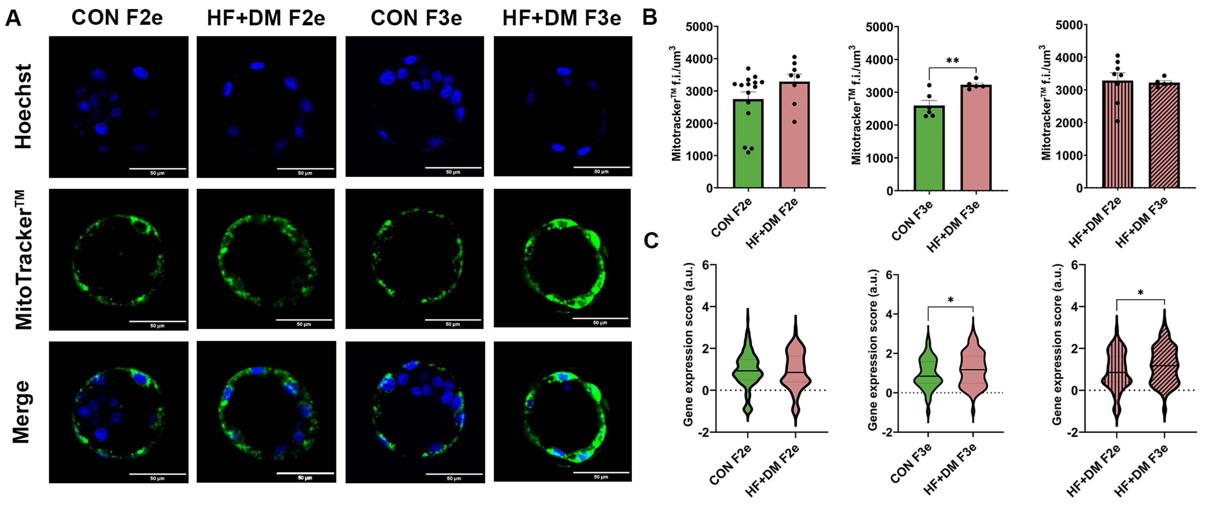 Biomedicines 13 02019 g009