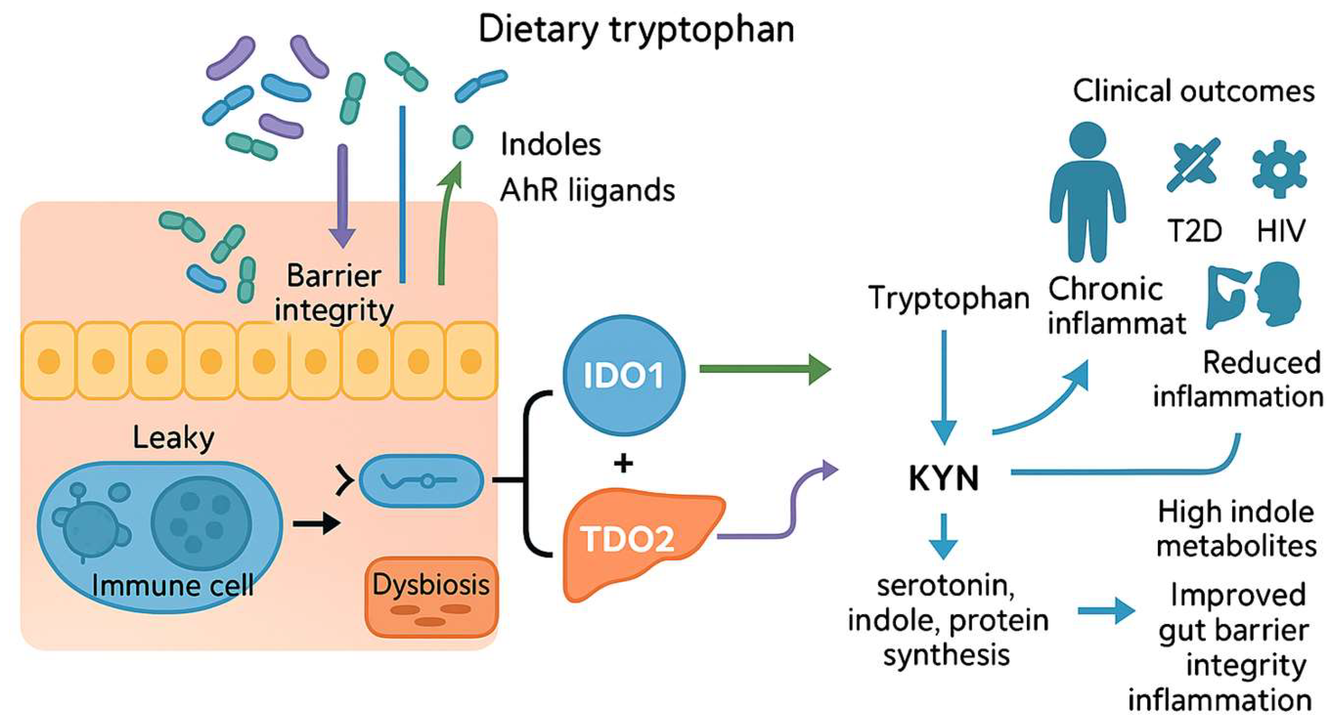 Biomedicines 13 02020 g002 Biomedicines 13 02020 g002