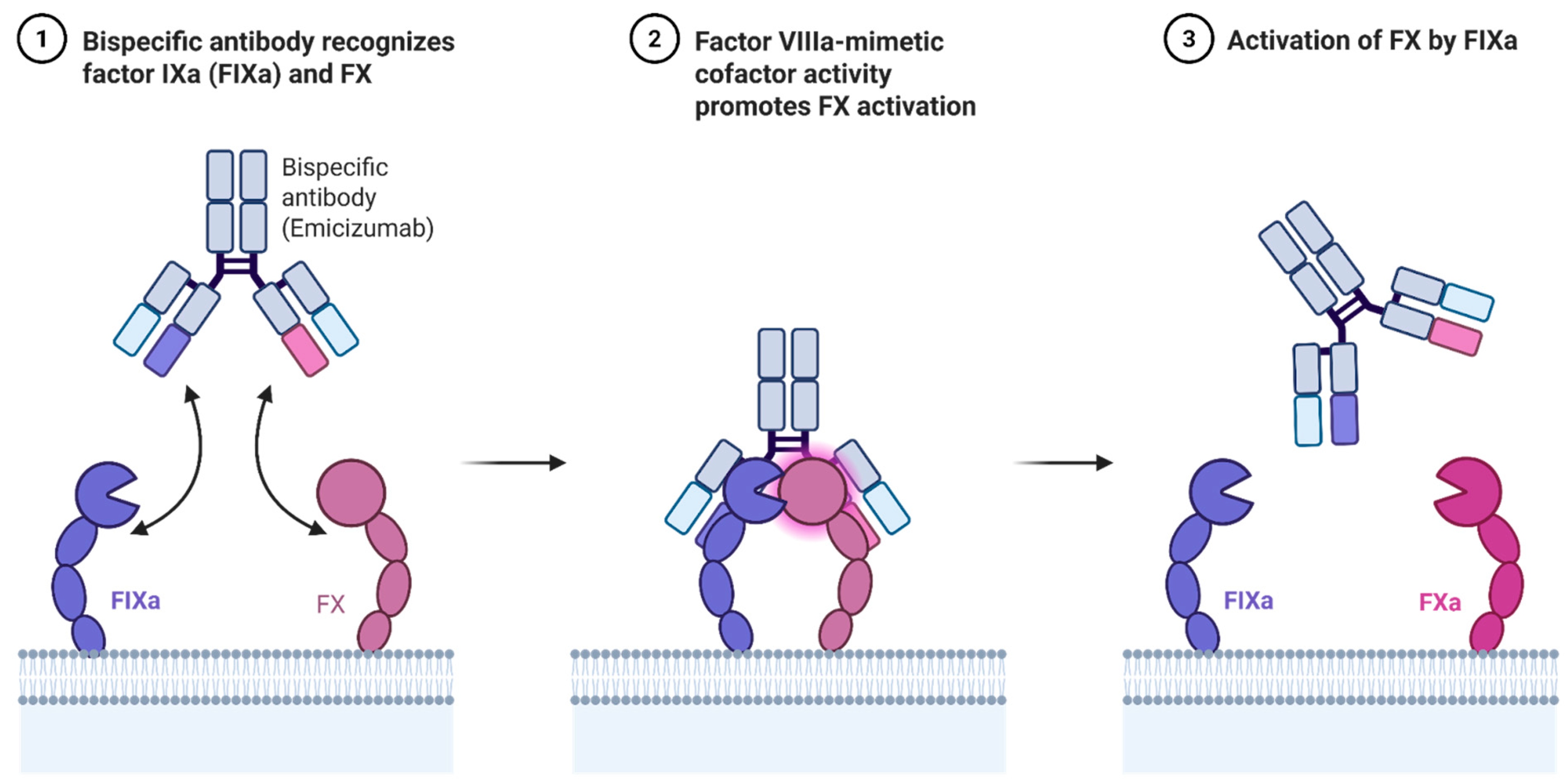 Biomedicines 13 02022 g001
