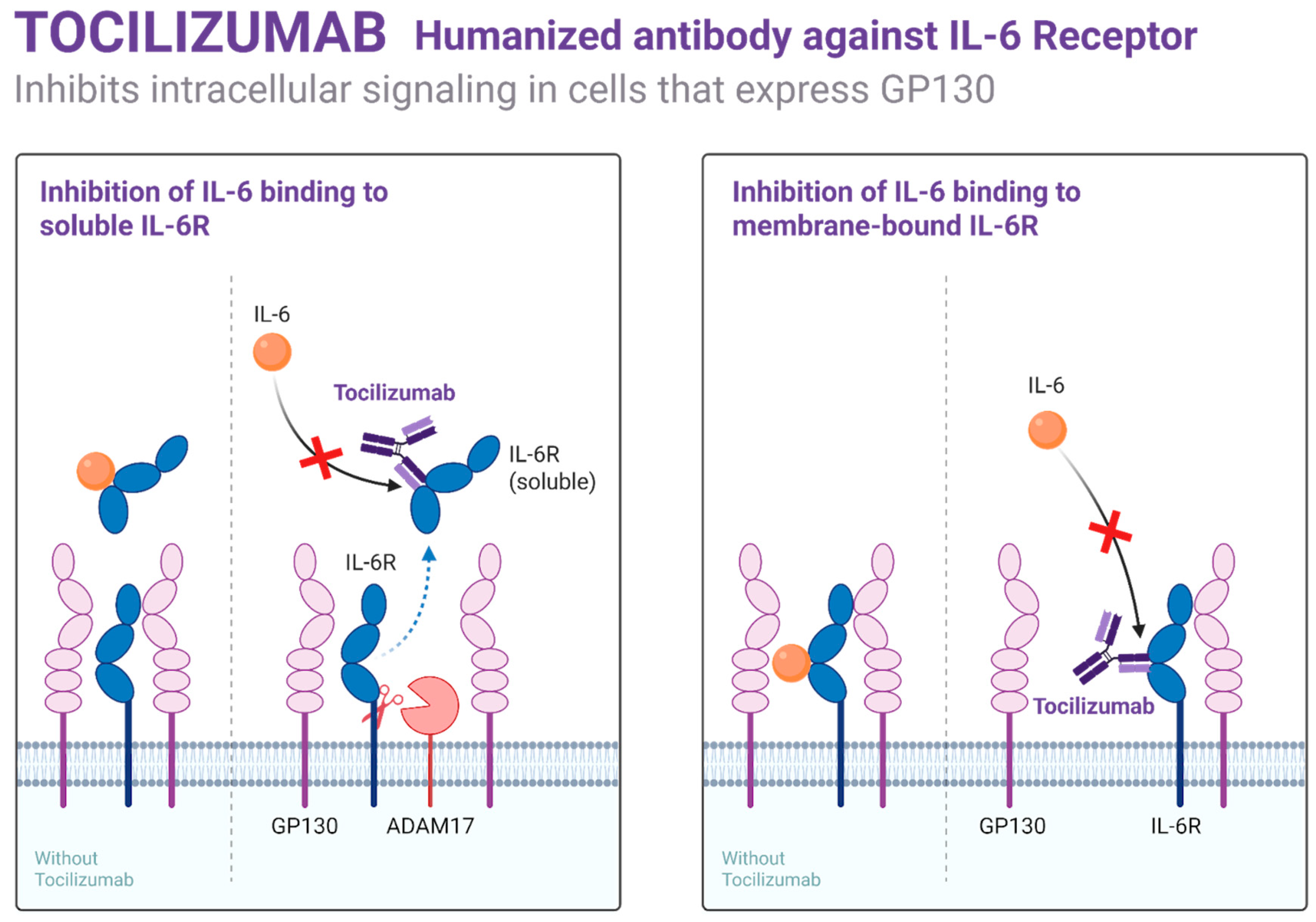 Biomedicines 13 02022 g002