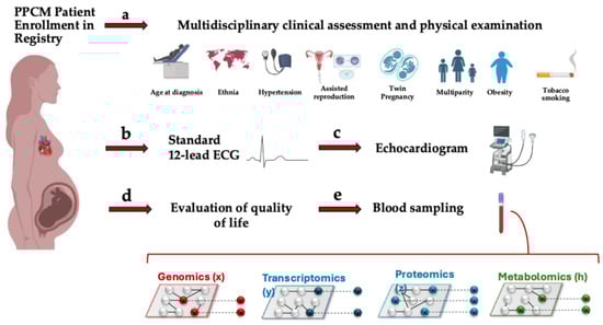 Biomedicines 13 02026 g003