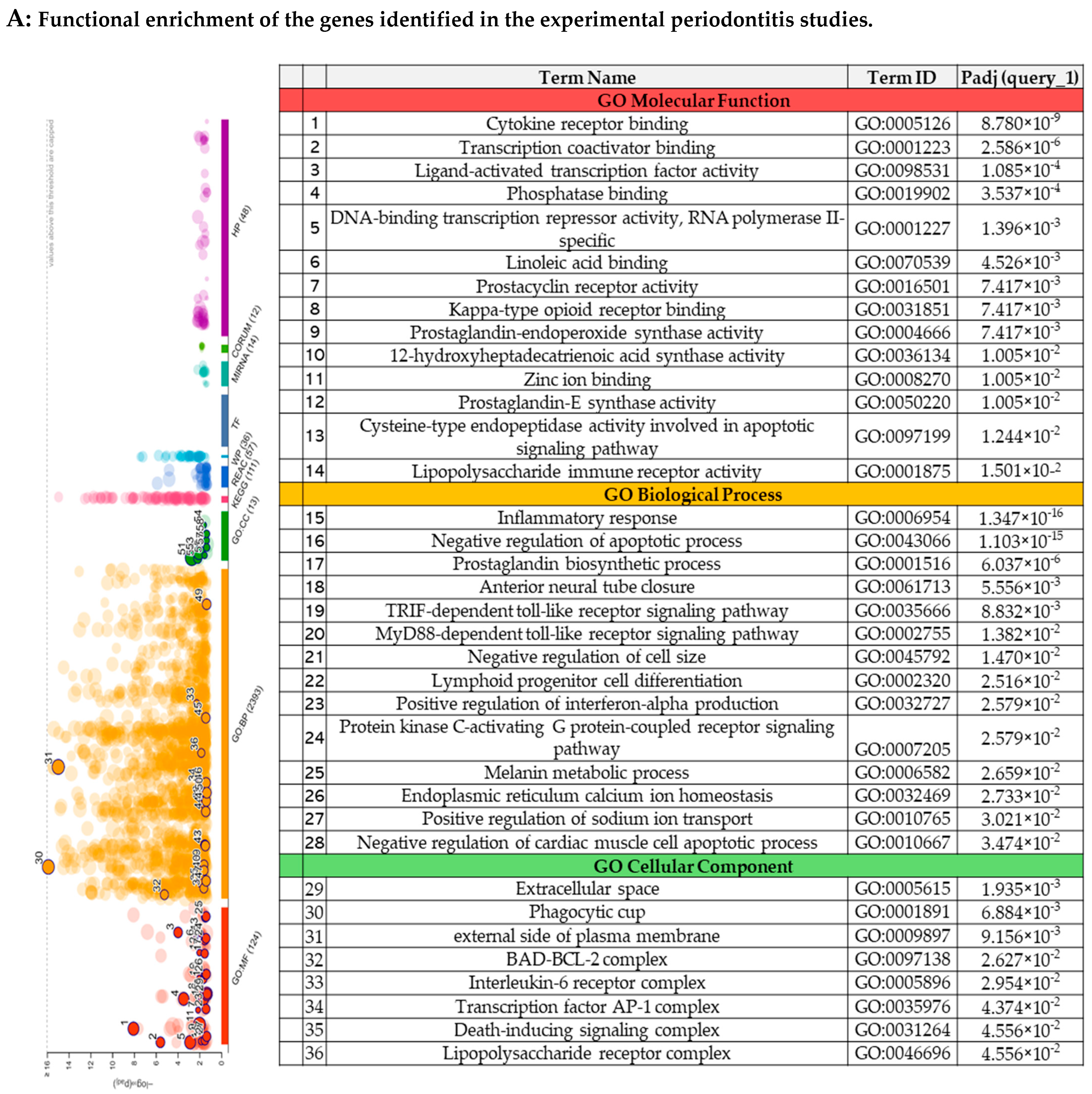 Biomedicines 13 02028 g003a