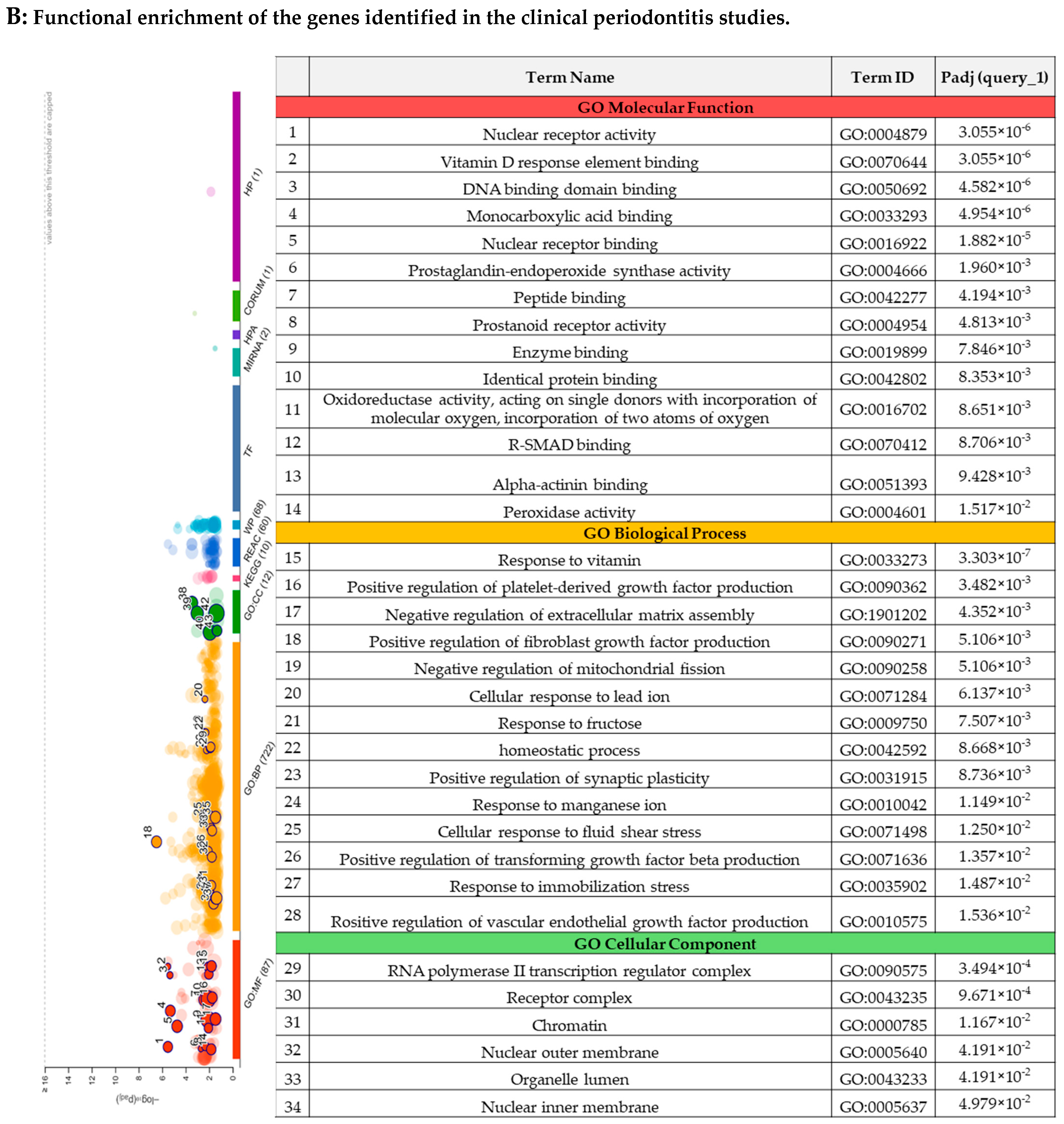 Biomedicines 13 02028 g003b