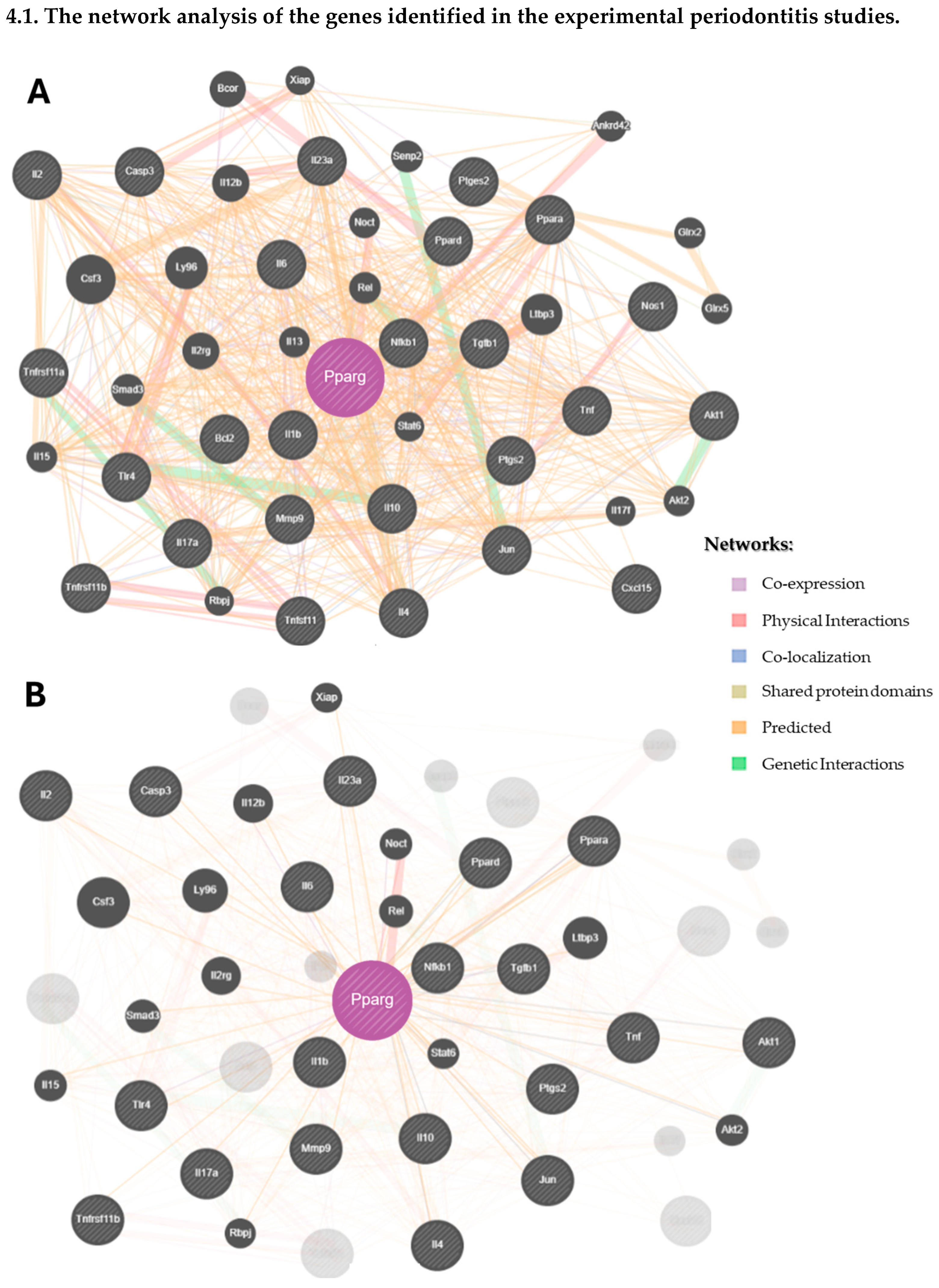 Biomedicines 13 02028 g004a