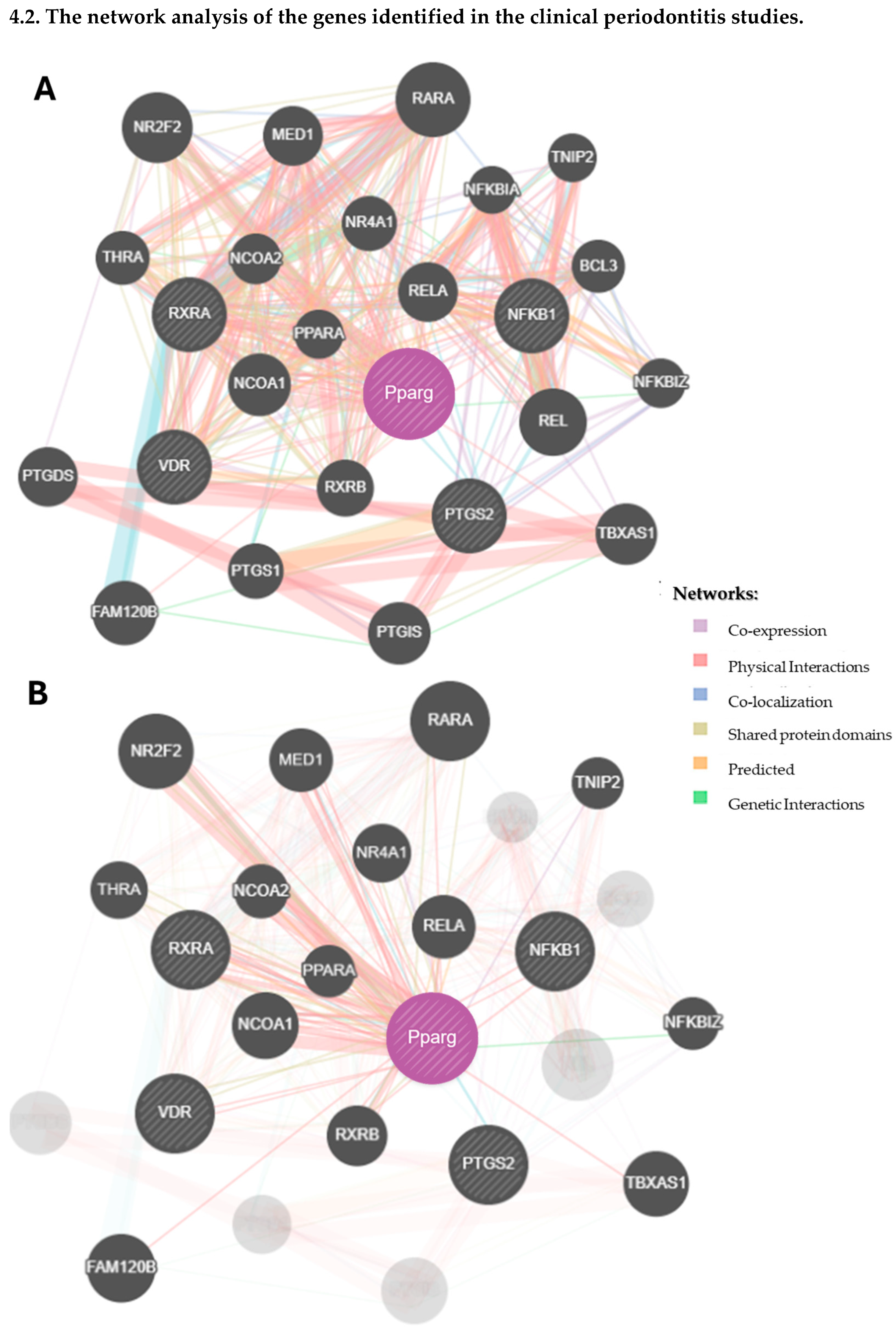 Biomedicines 13 02028 g004b