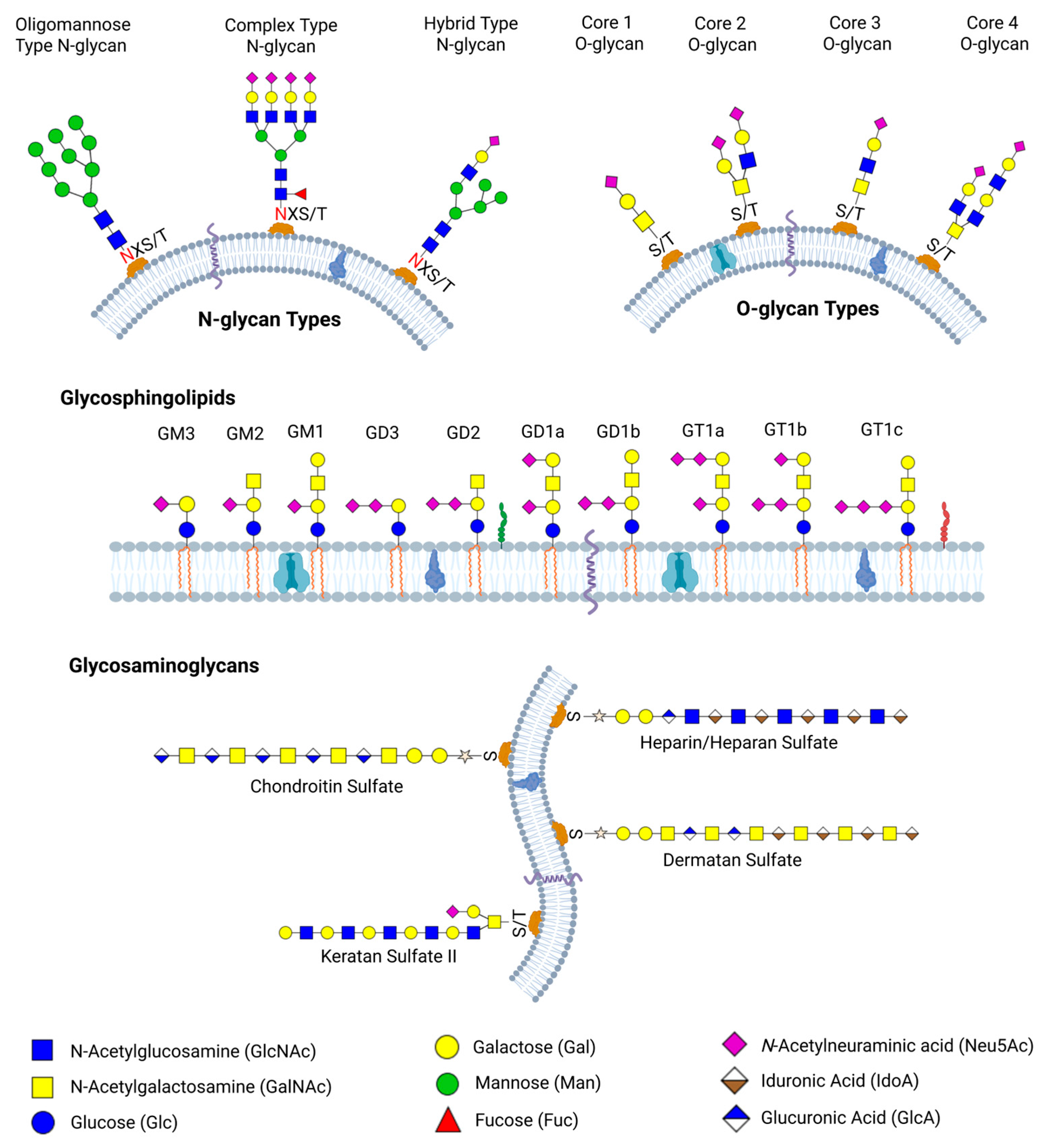 Biomedicines 13 02034 g001