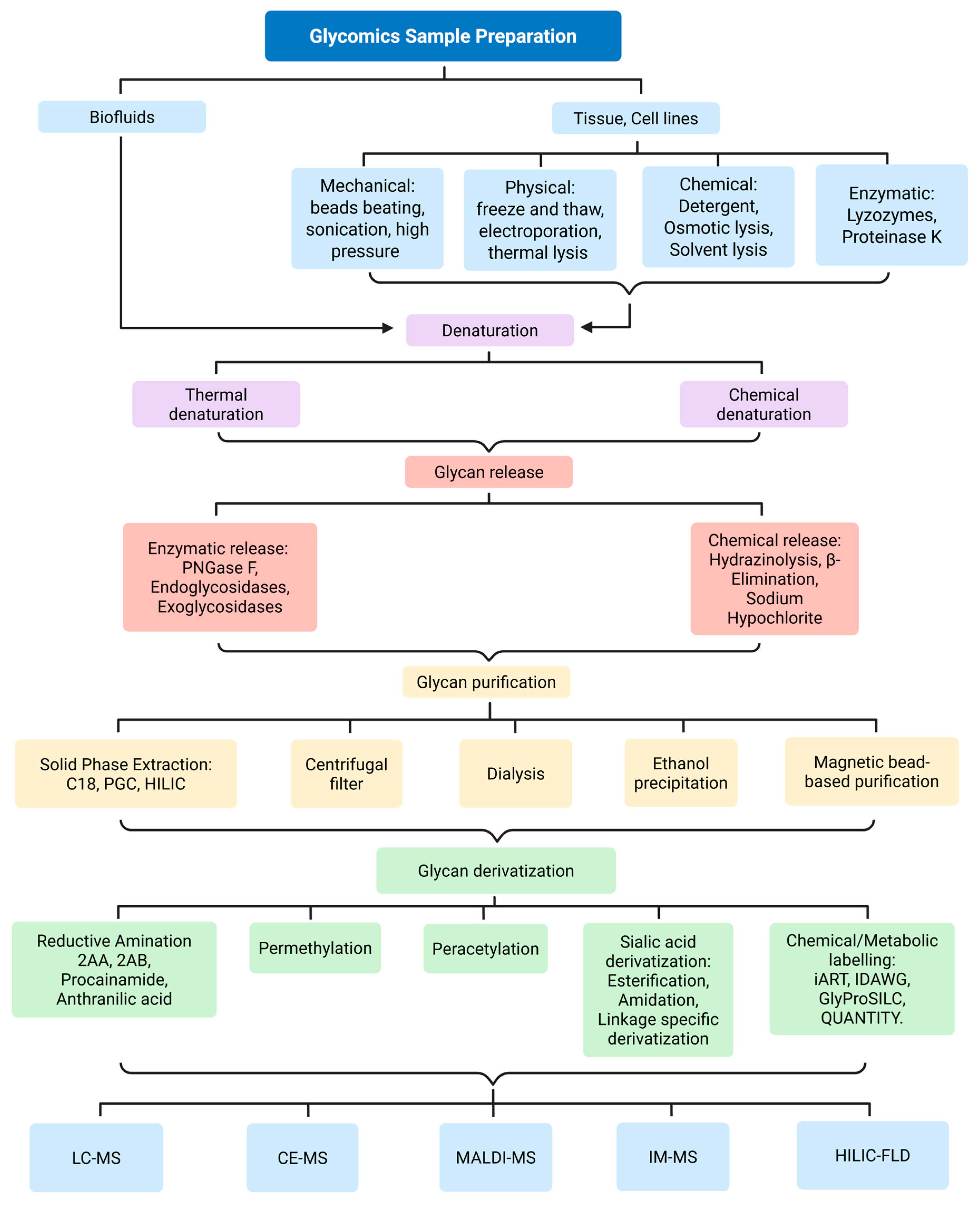 Biomedicines 13 02034 g004