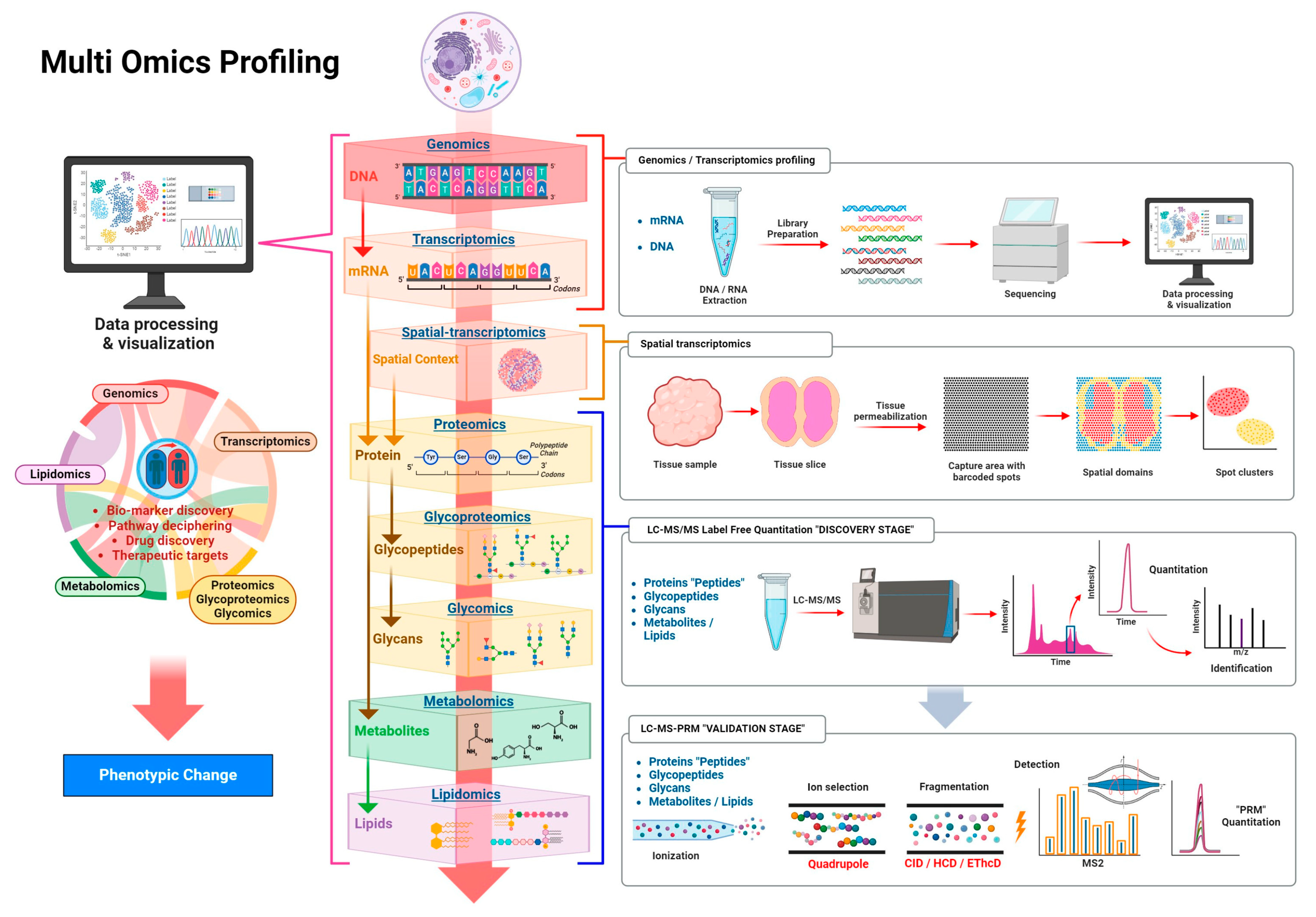Biomedicines 13 02034 g005
