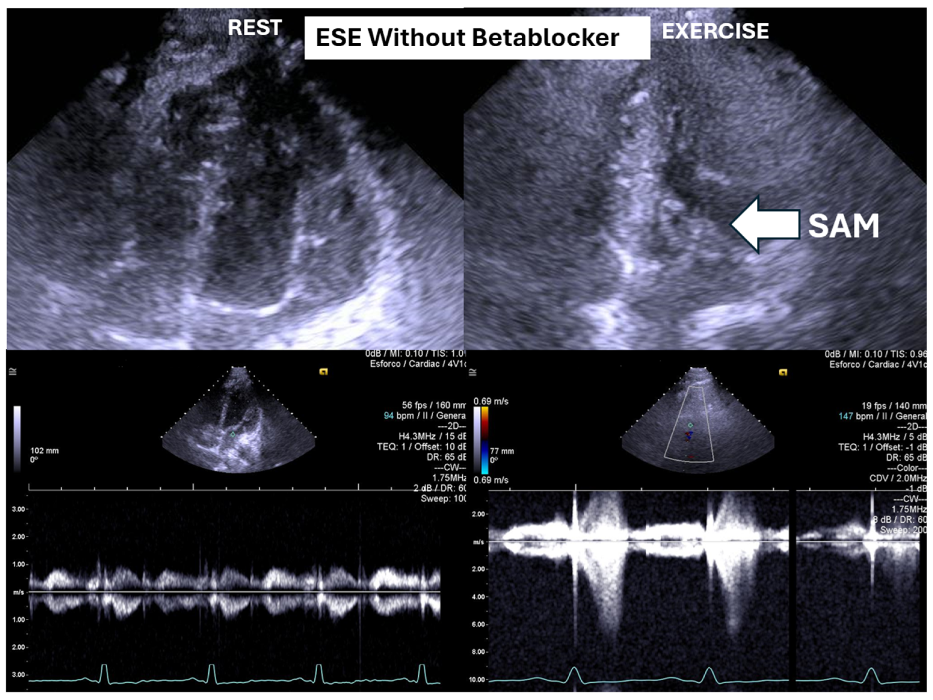 Biomedicines 13 02035 g002