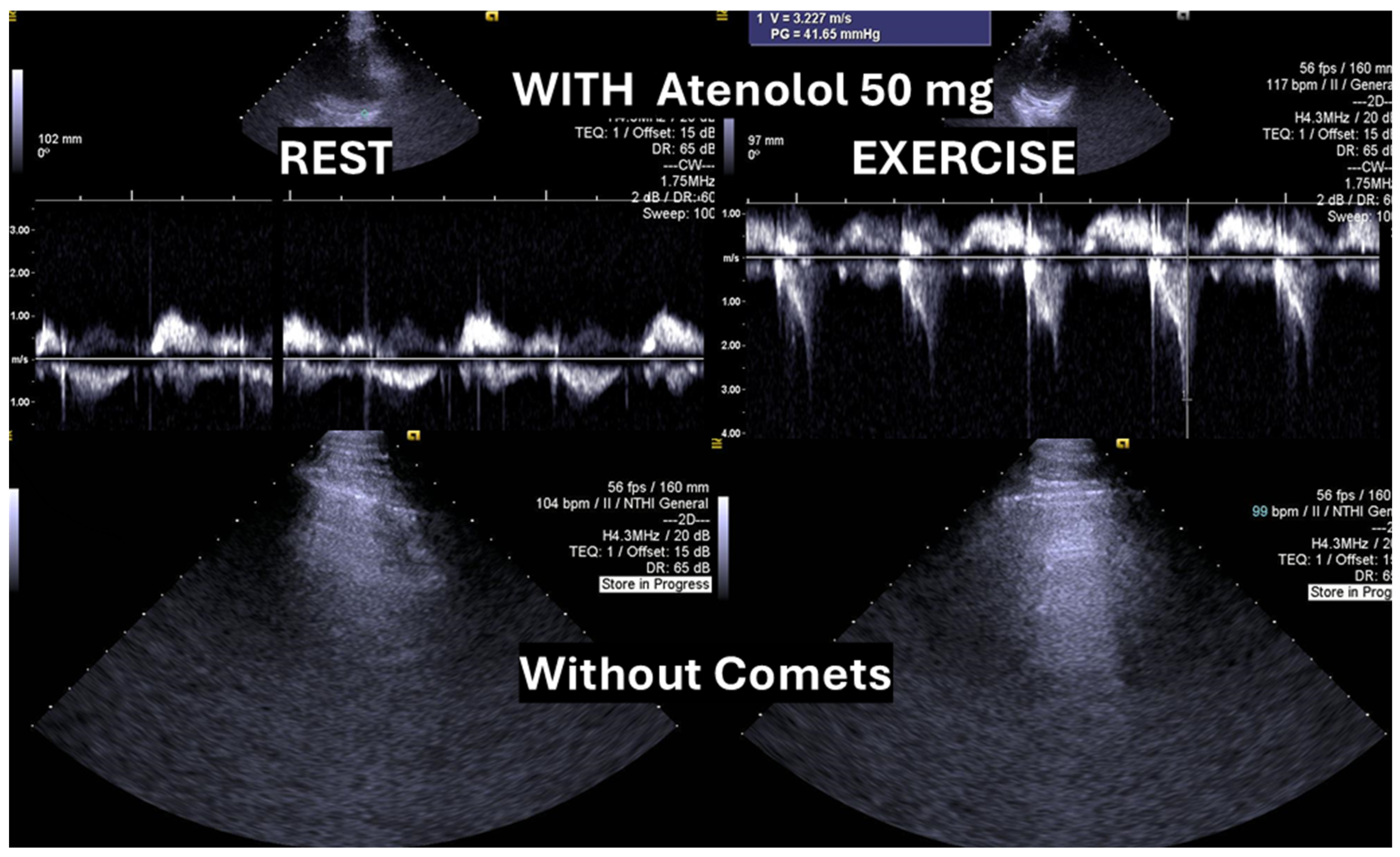 Biomedicines 13 02035 g004