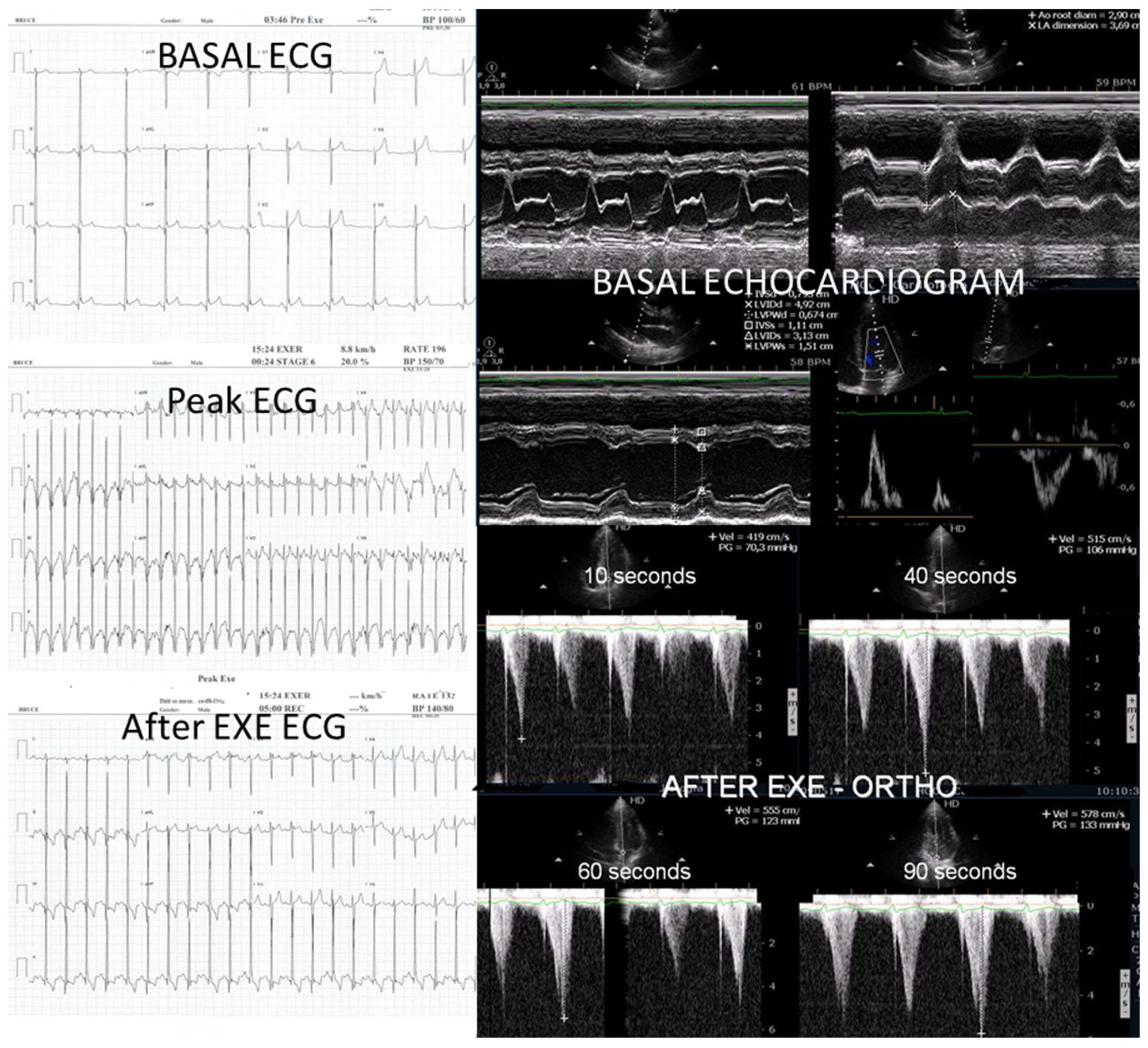 Biomedicines 13 02035 g007