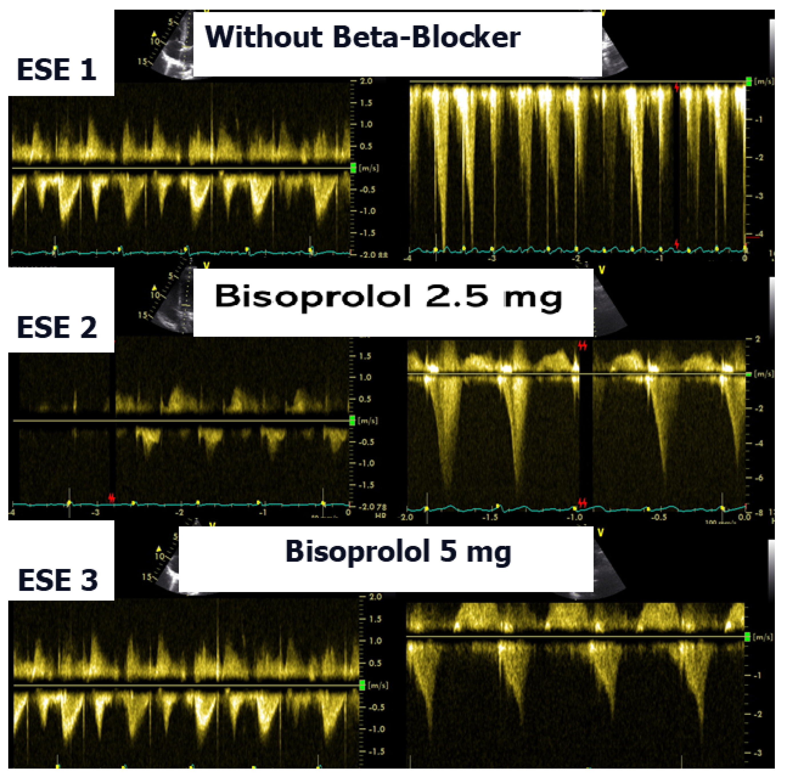 Biomedicines 13 02035 g008