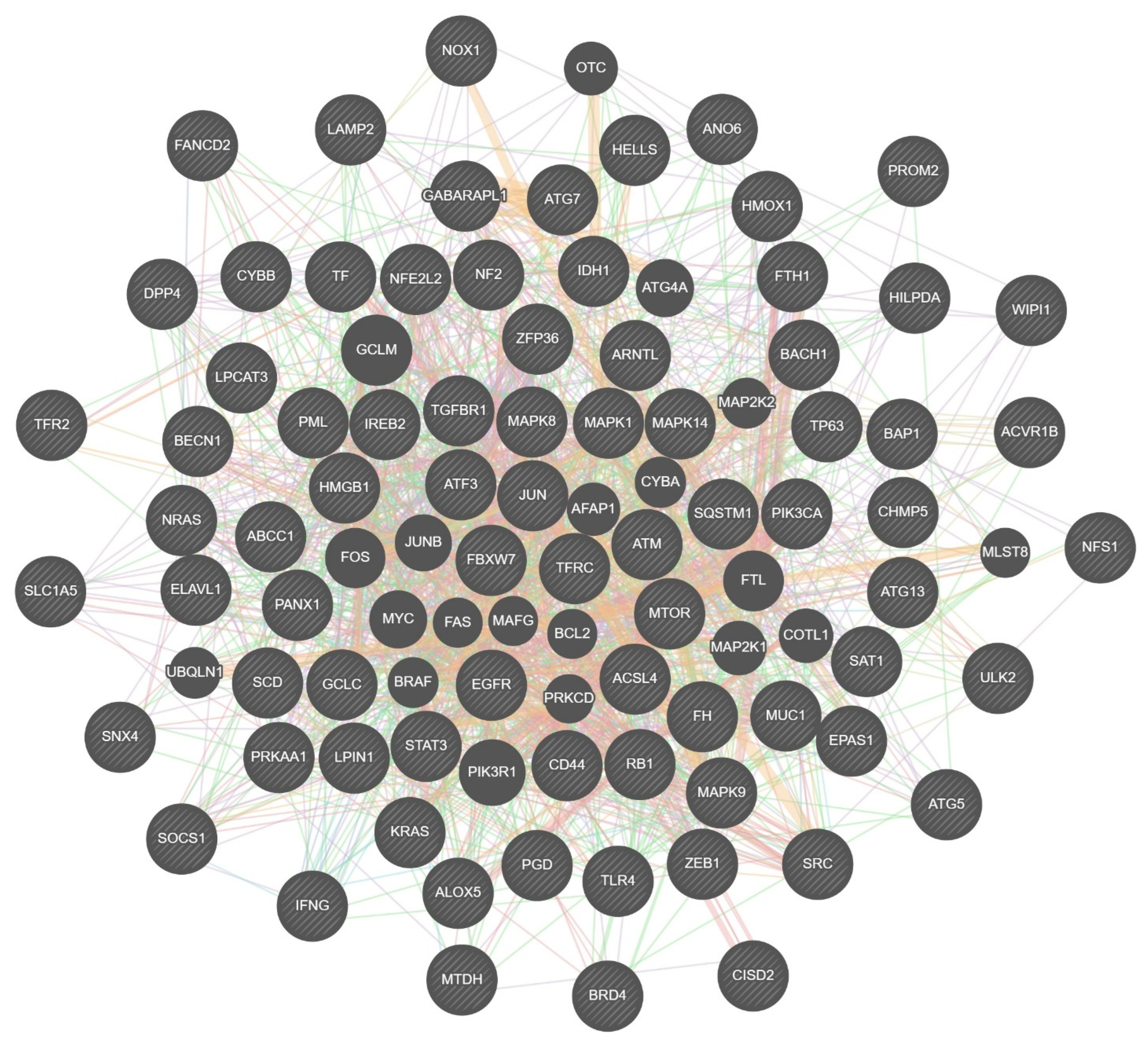 Biomedicines 13 02037 g002