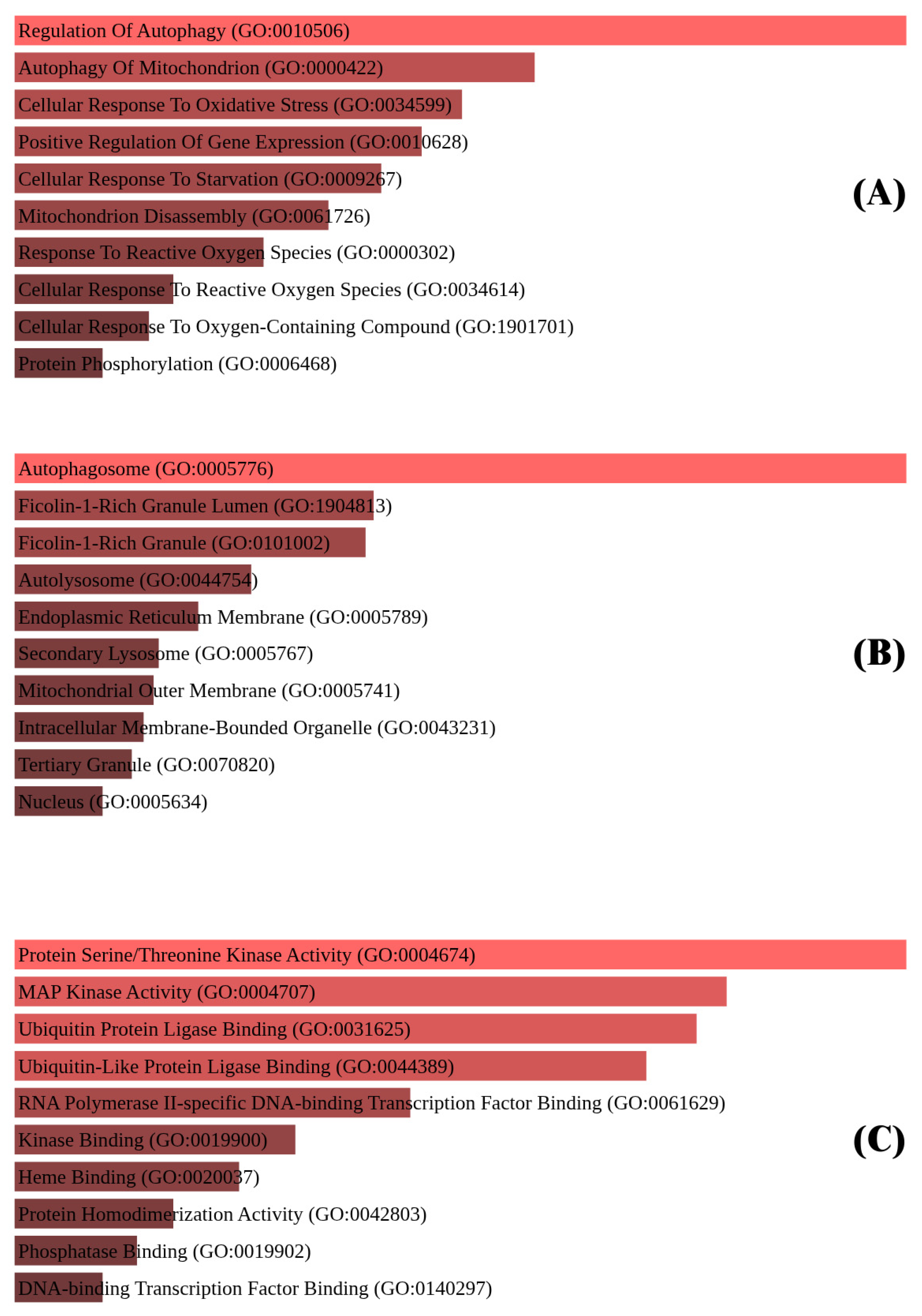 Biomedicines 13 02037 g003