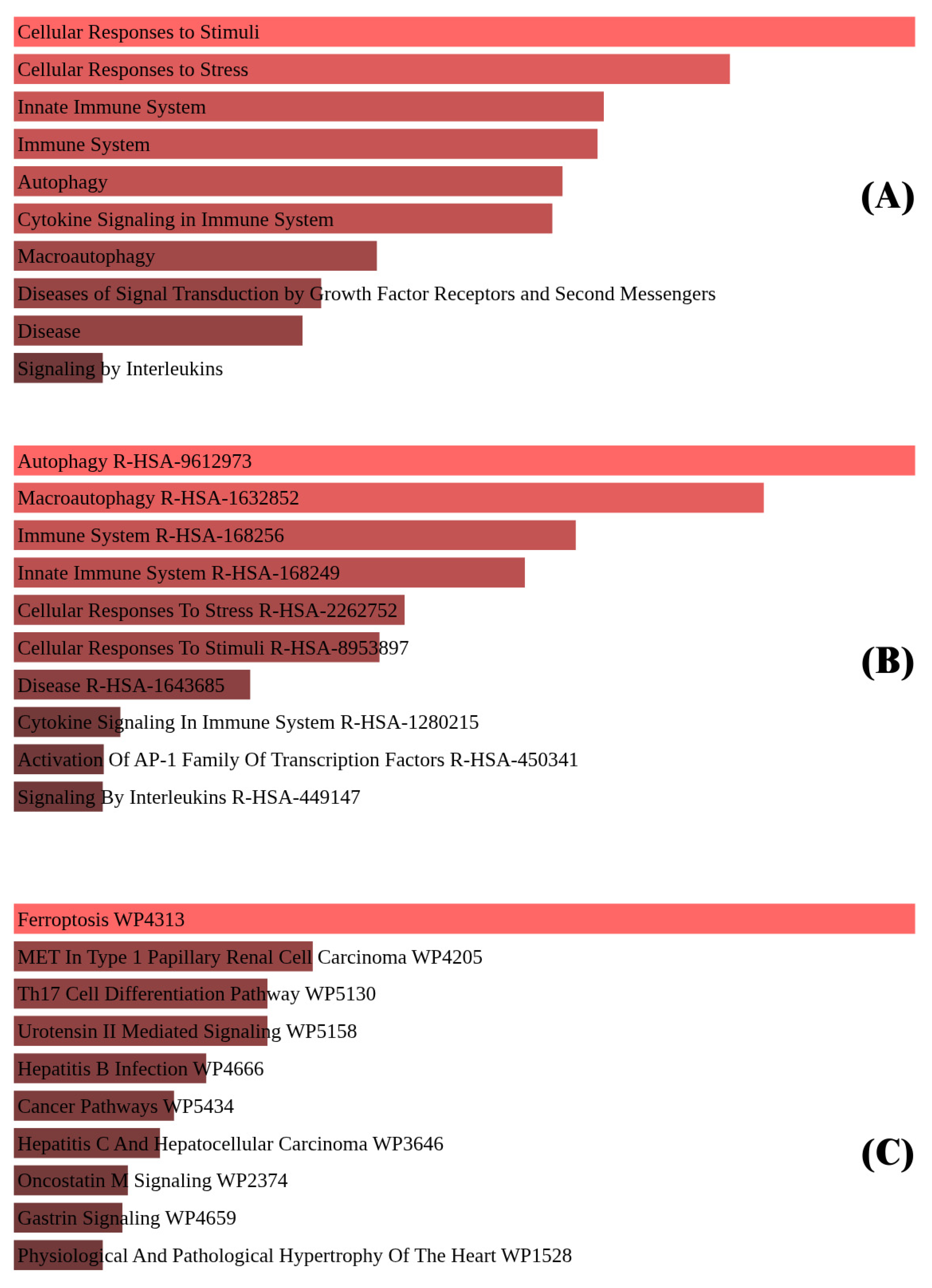 Biomedicines 13 02037 g005