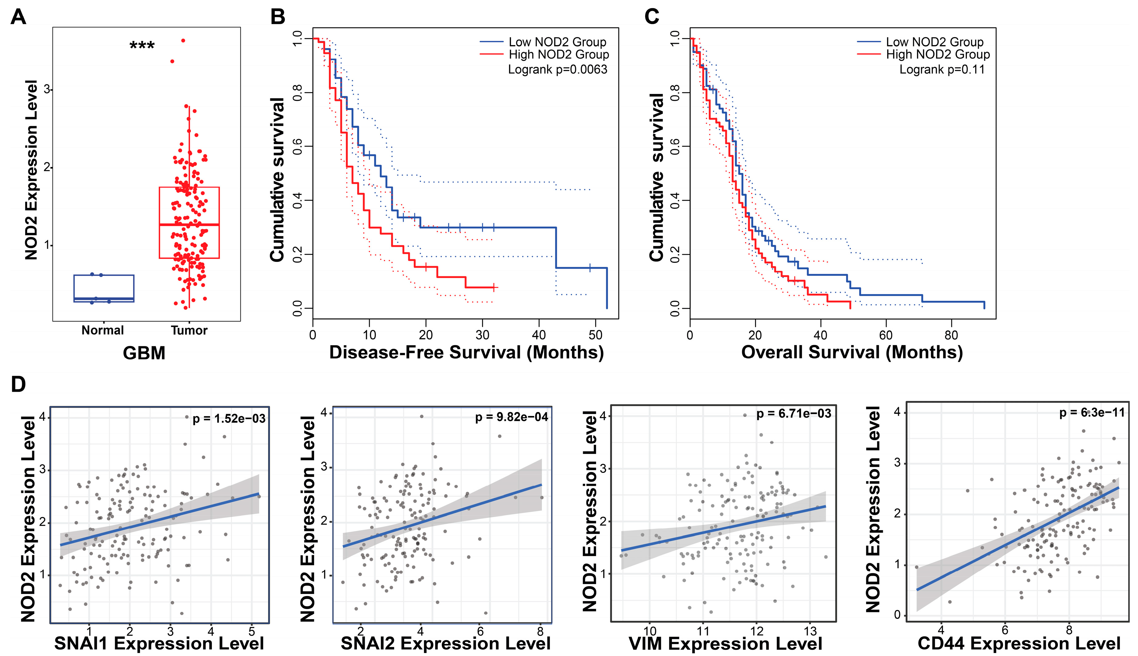 Biomedicines 13 02041 g001