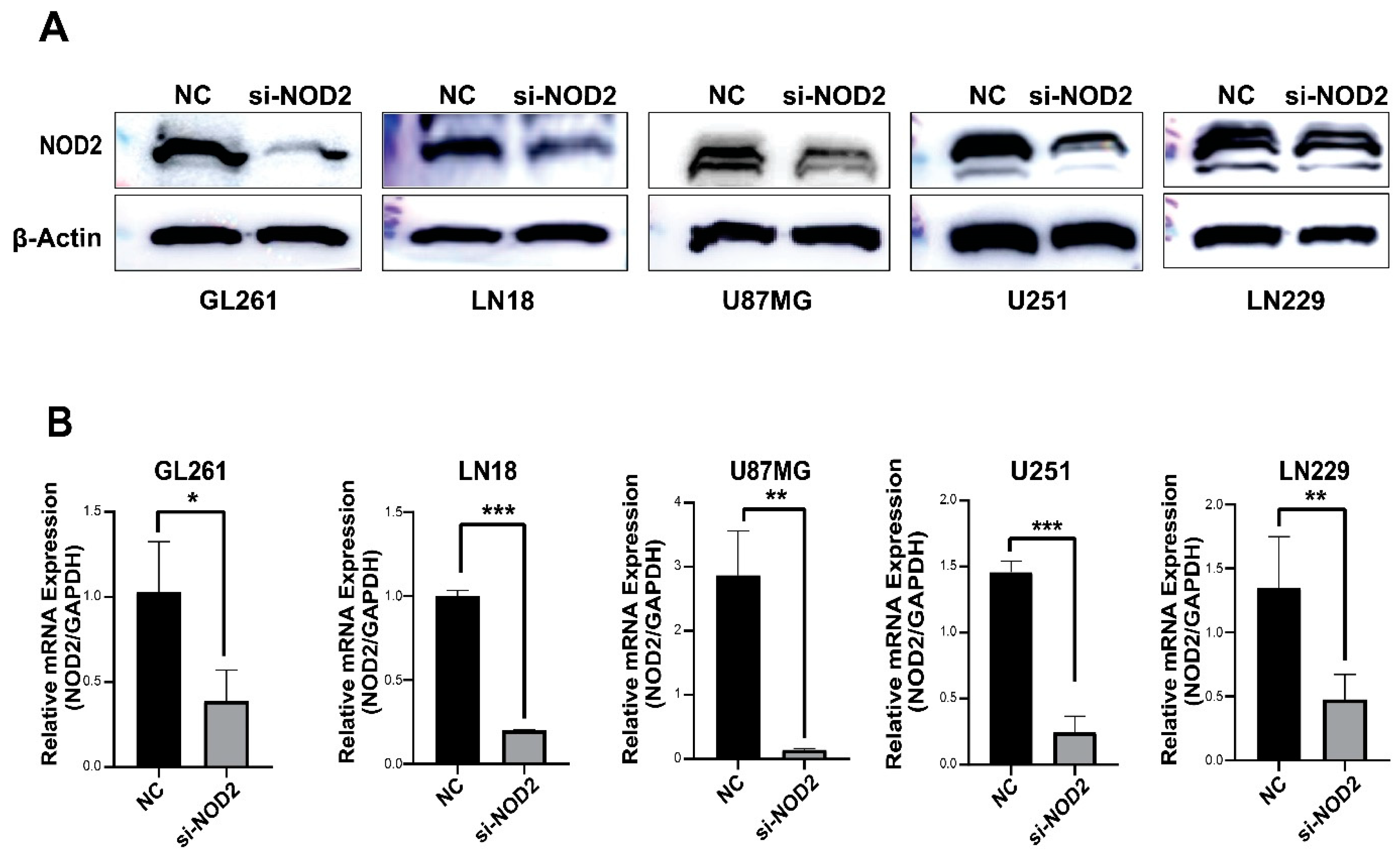 Biomedicines 13 02041 g003