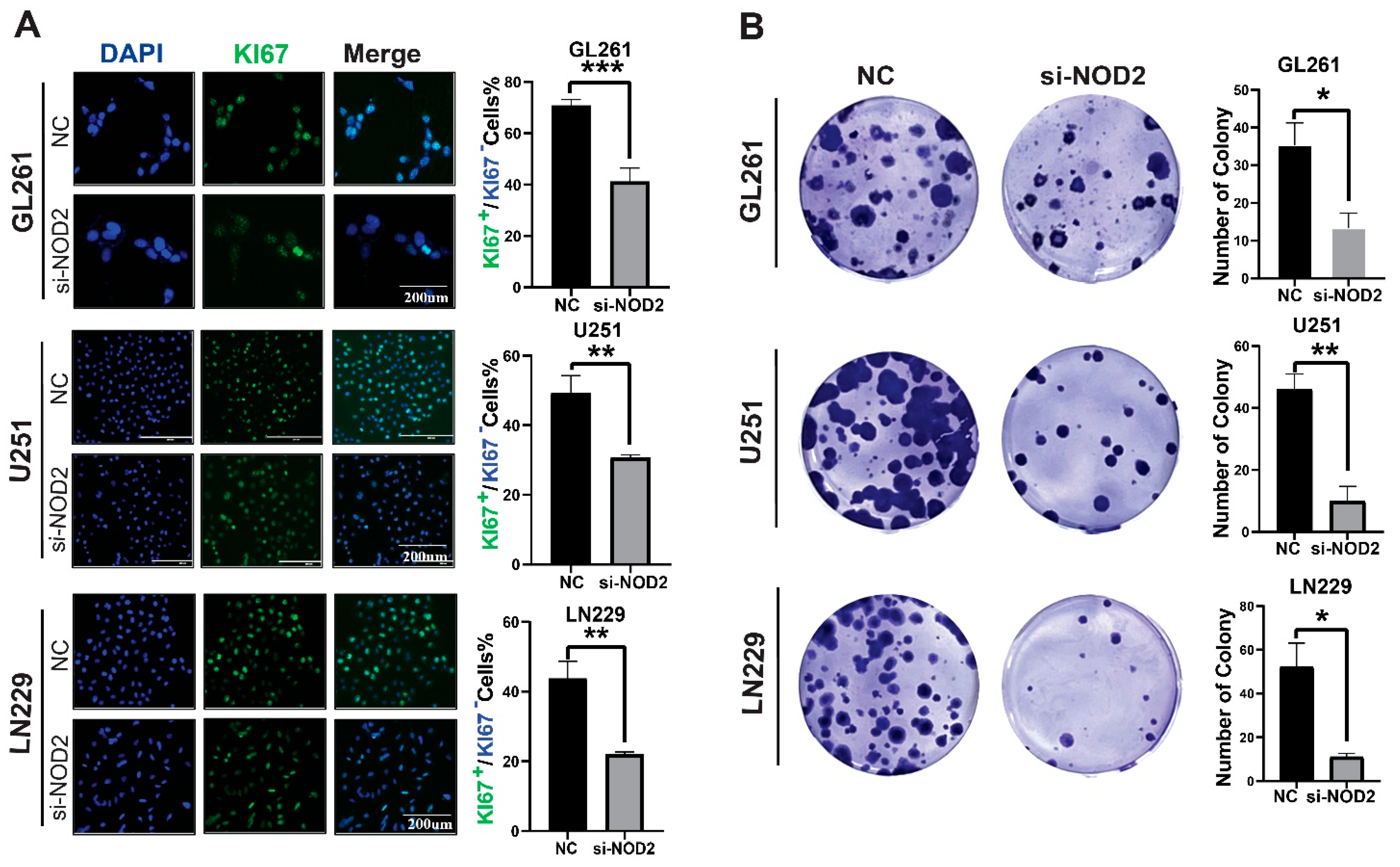 Biomedicines 13 02041 g004