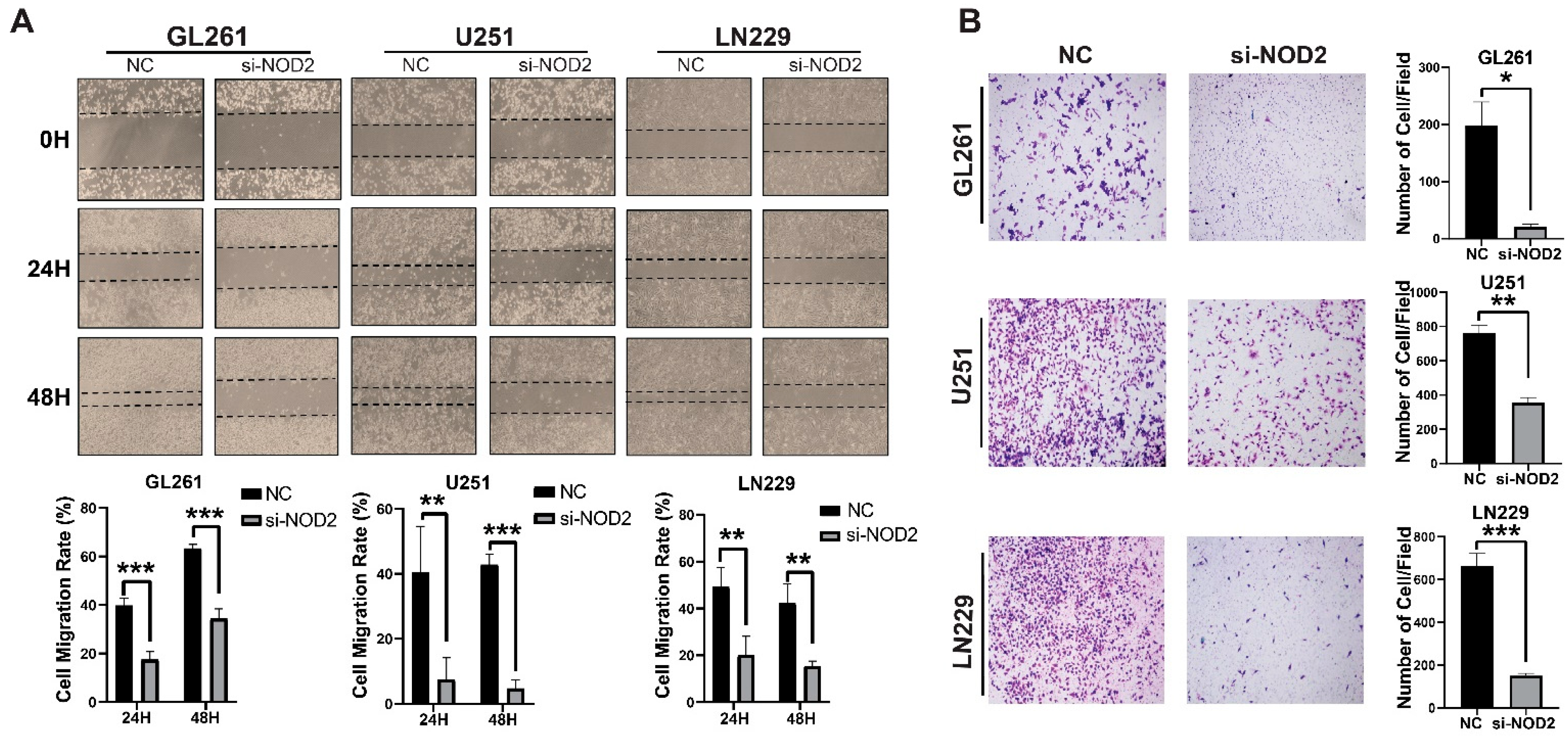 Biomedicines 13 02041 g005
