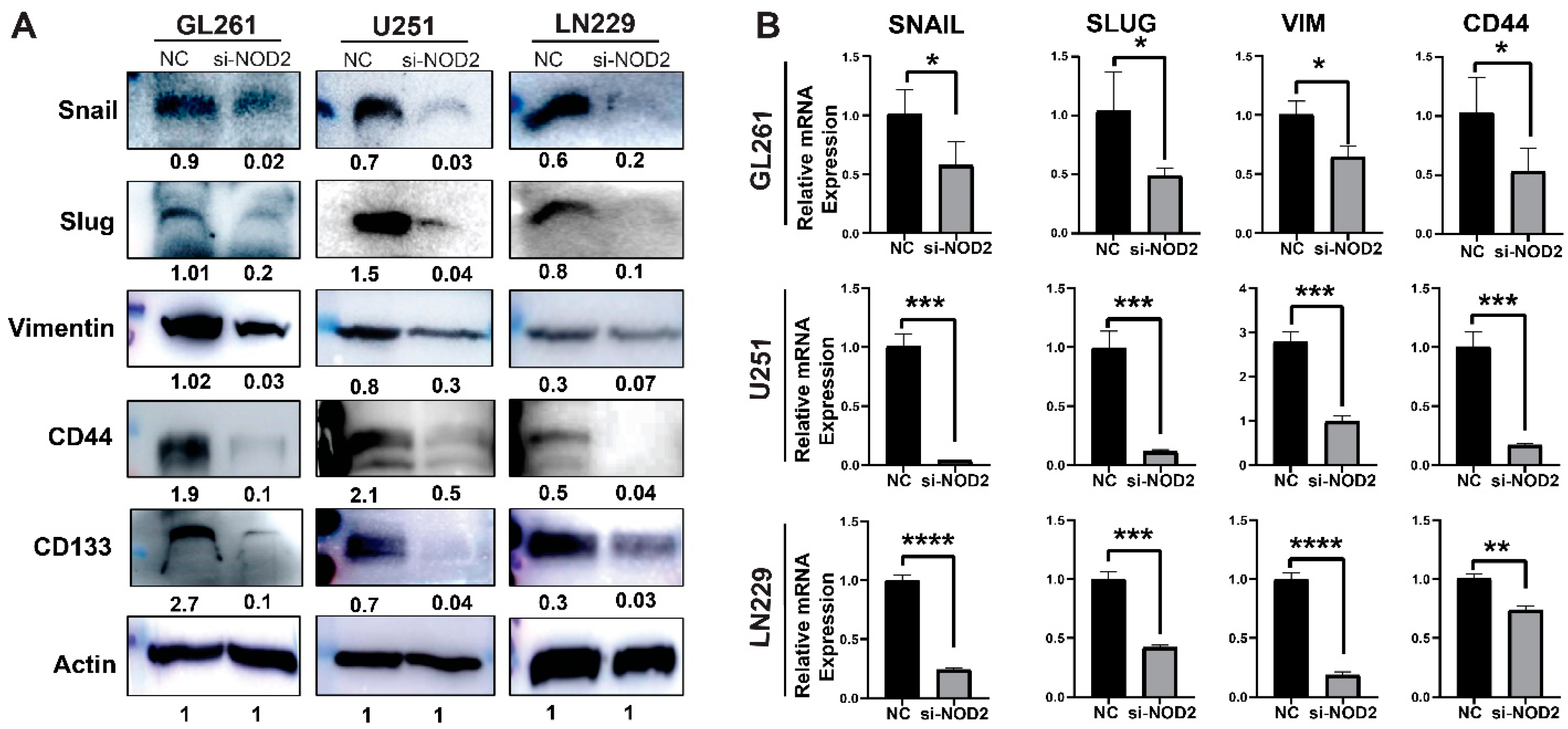 Biomedicines 13 02041 g006