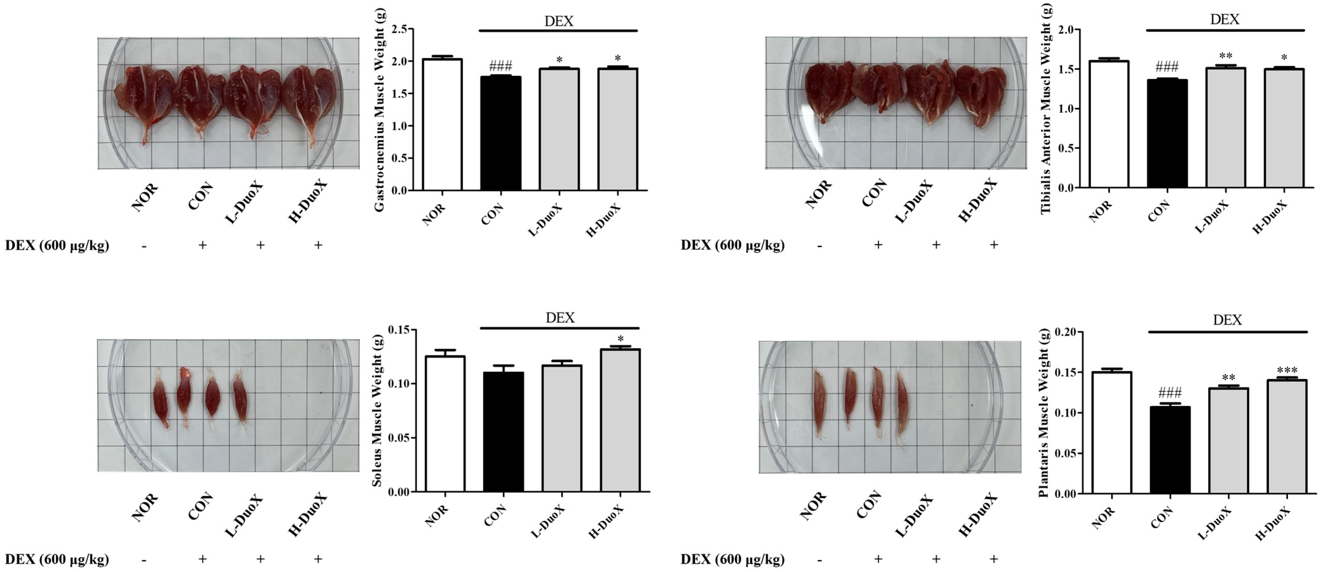 Biomedicines 13 02046 g003
