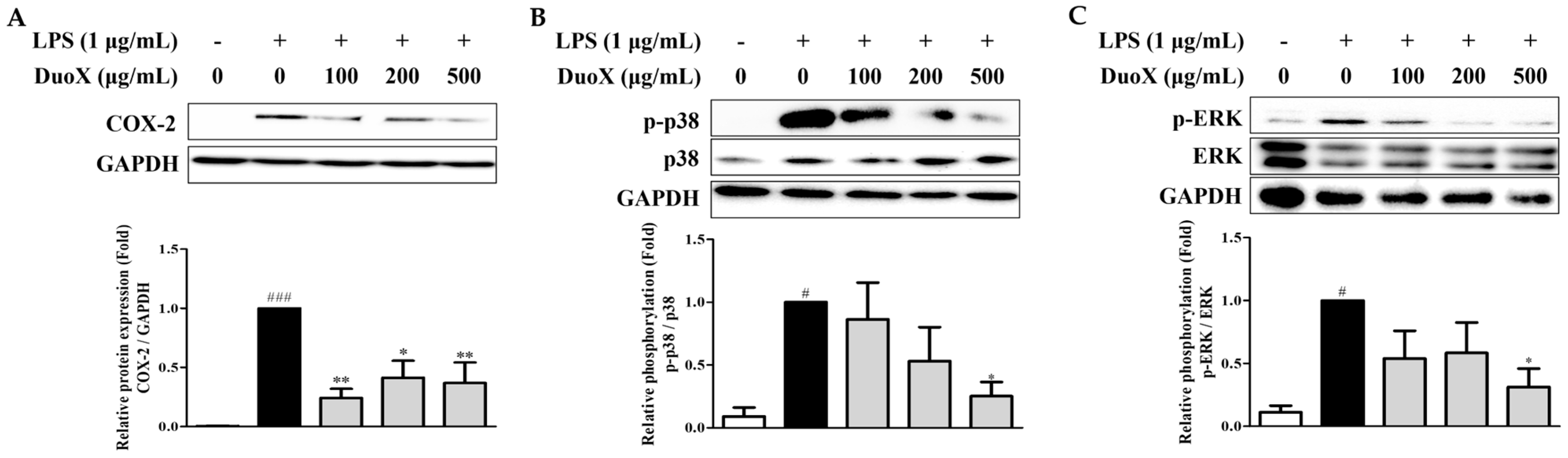 Biomedicines 13 02046 g007