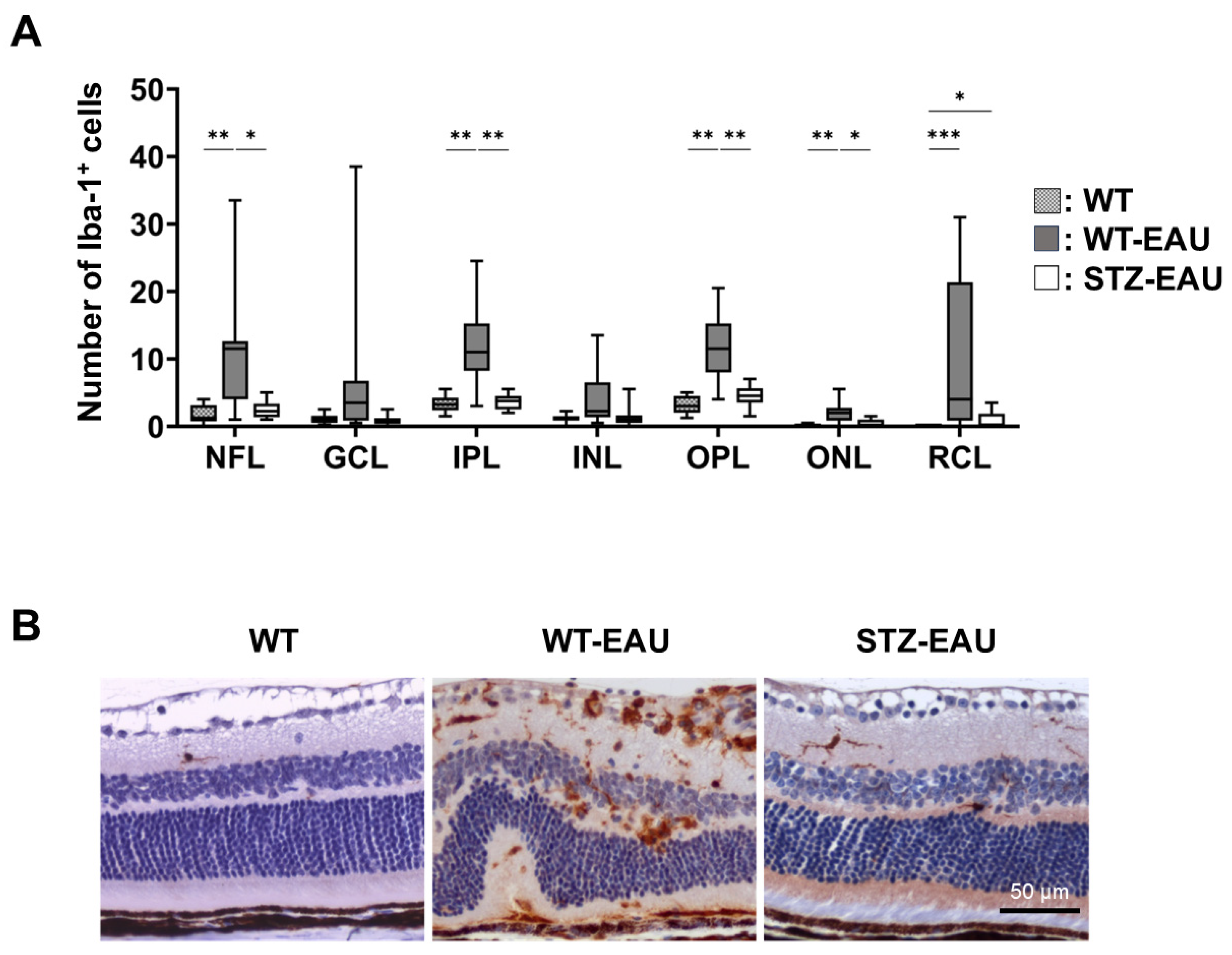 Biomedicines 13 02049 g004