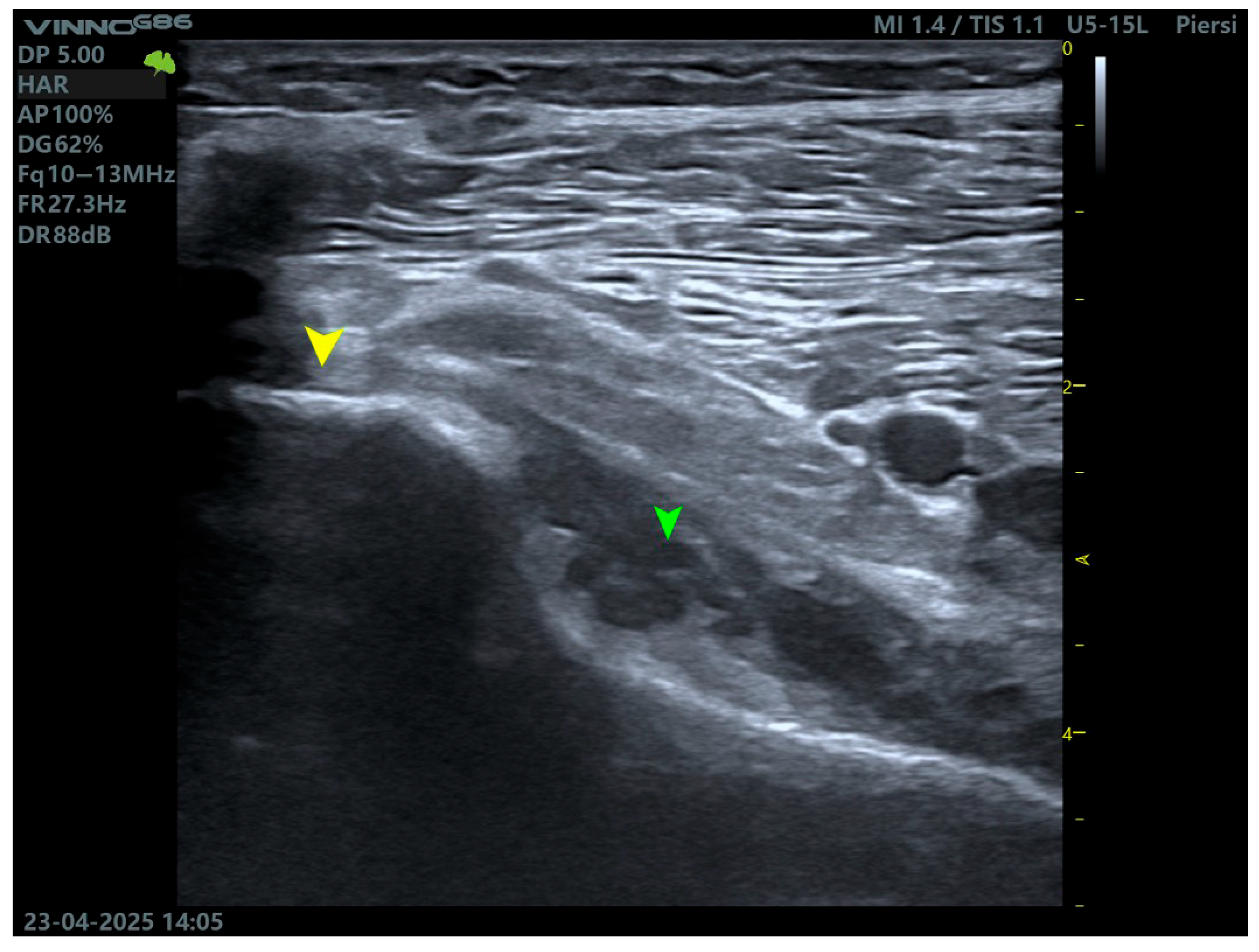 Biomedicines 13 02053 g003