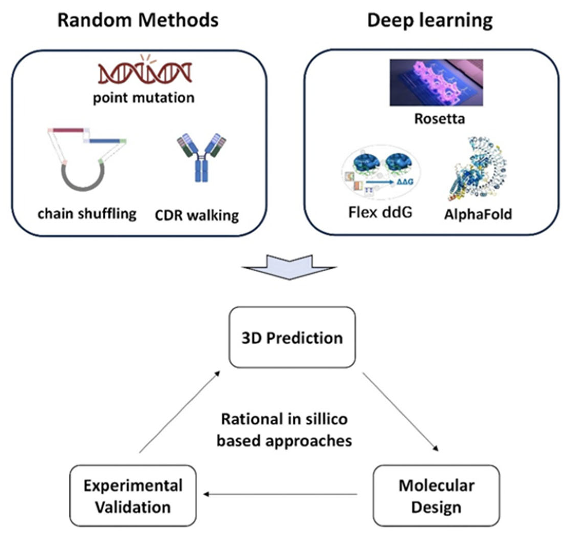 Biomedicines 13 02055 g002 Biomedicines 13 02055 g002