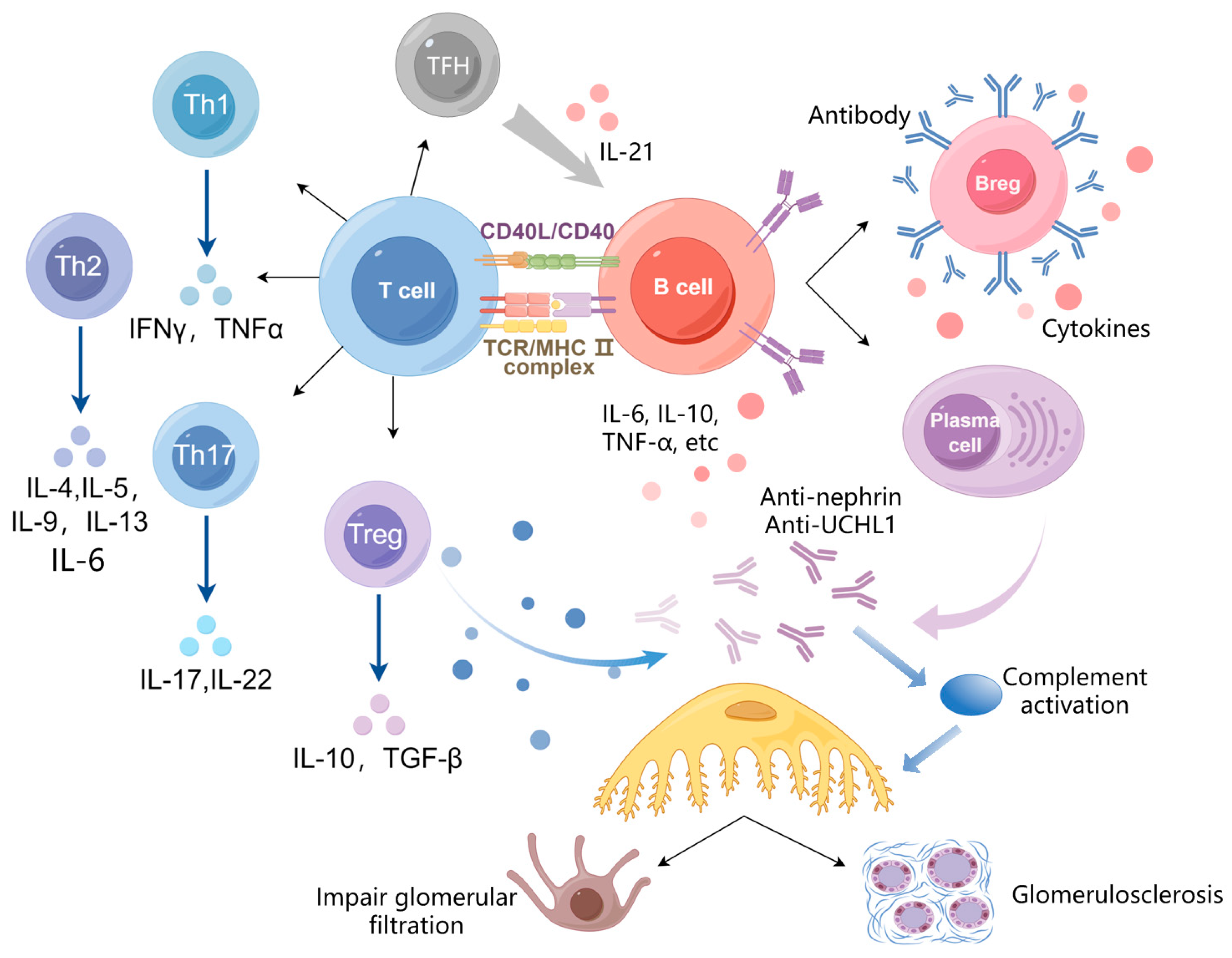 Biomedicines 13 02063 g002 Biomedicines 13 02063 g002