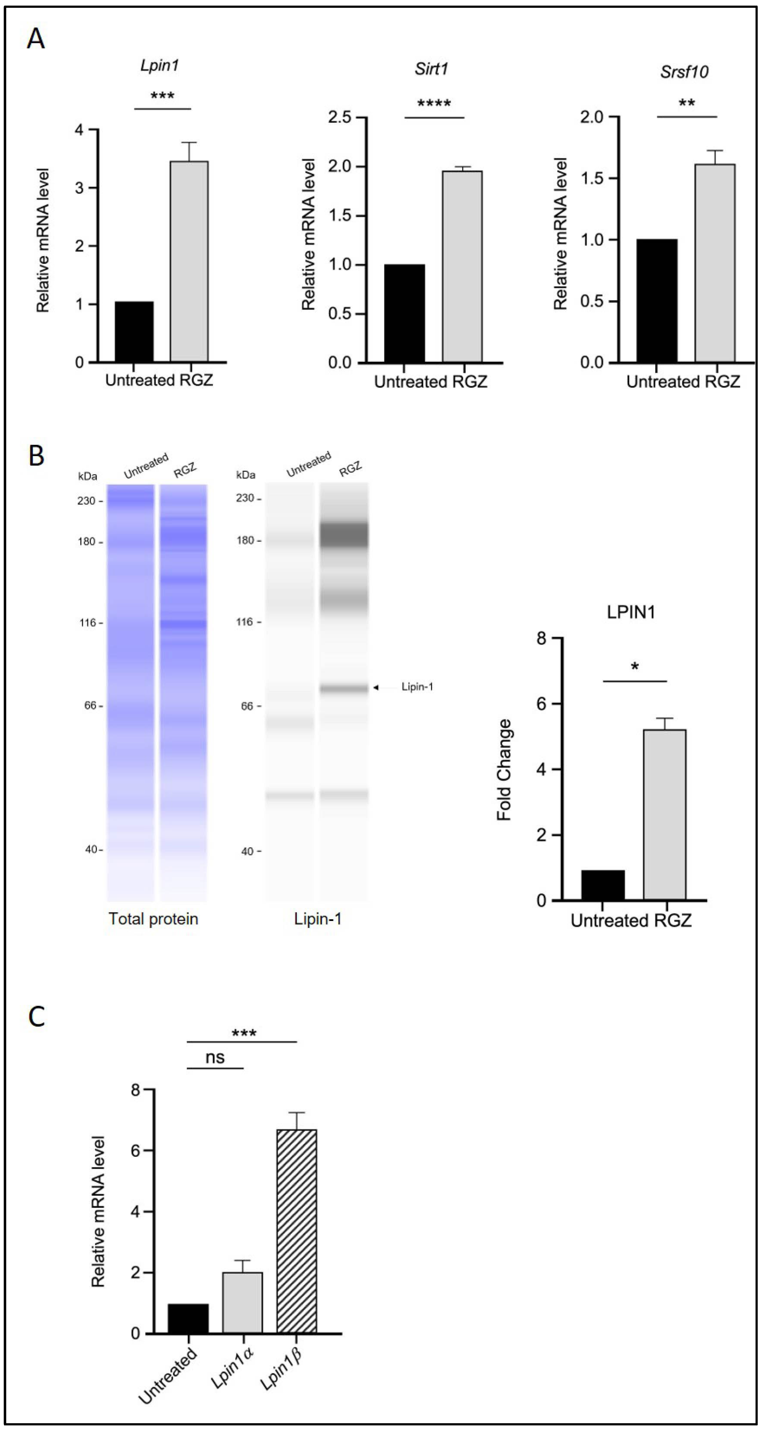 Biomedicines 13 02069 g001 Biomedicines 13 02069 g001