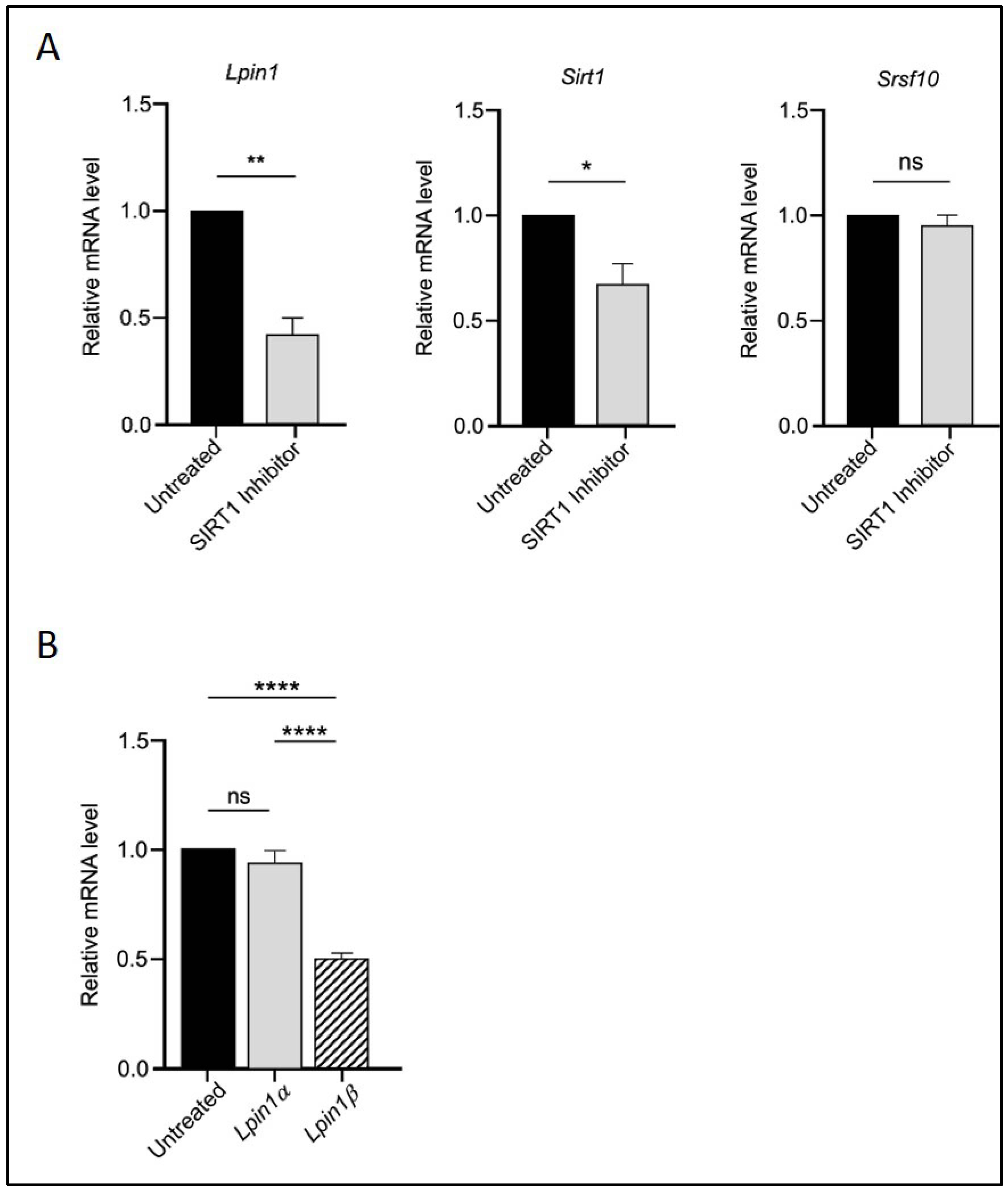 Biomedicines 13 02069 g002 Biomedicines 13 02069 g002