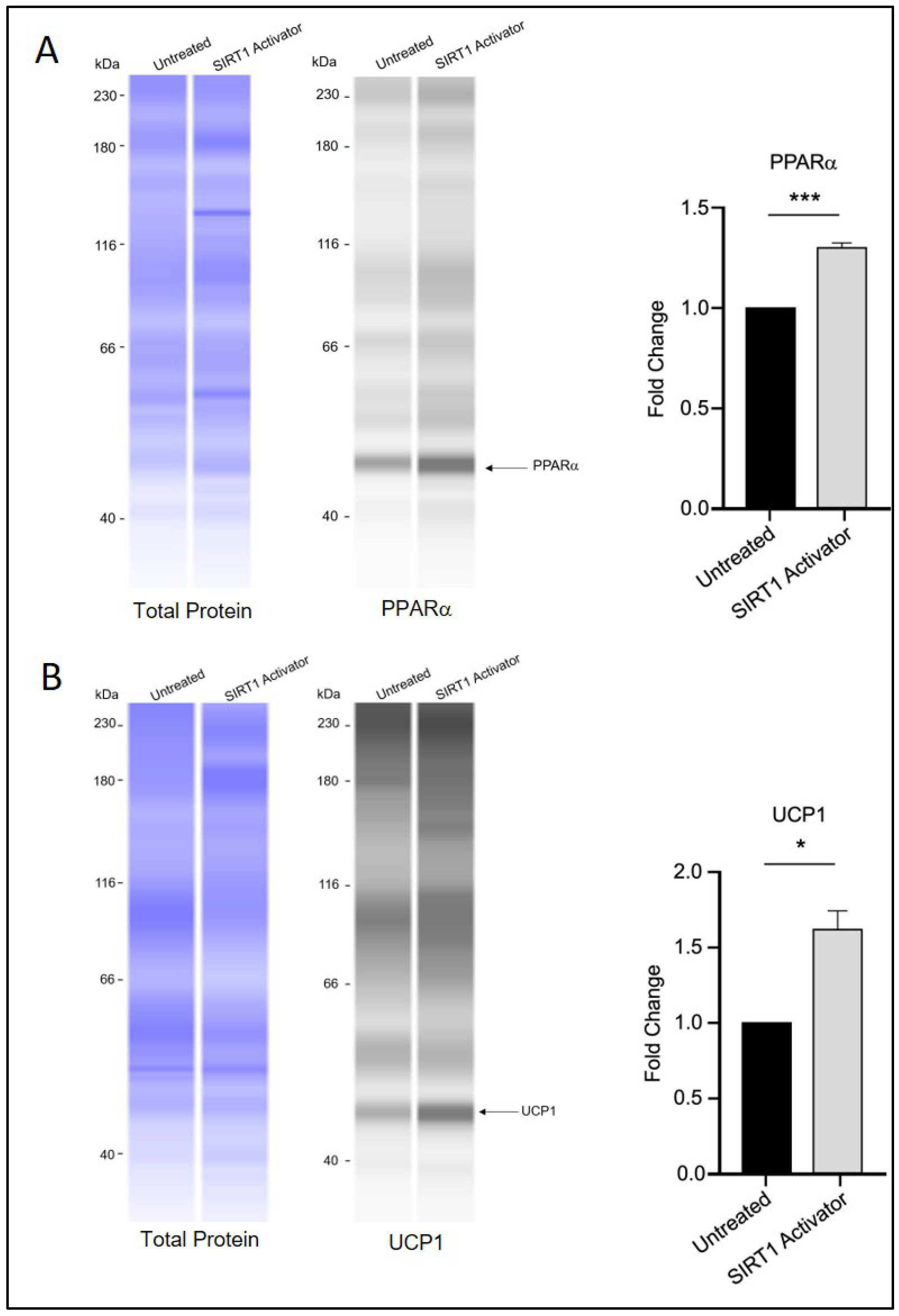 Biomedicines 13 02069 g005 Biomedicines 13 02069 g005