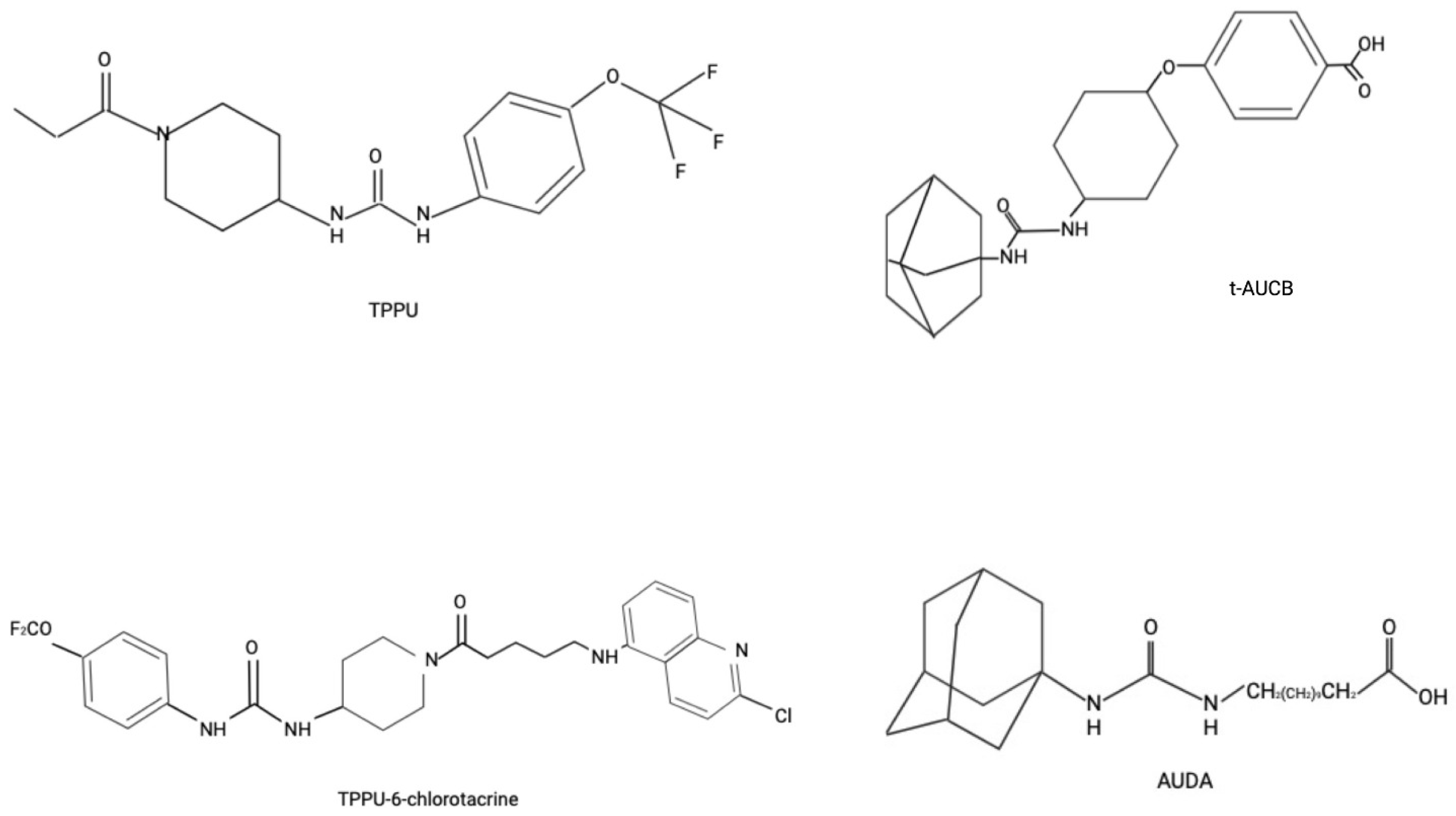 Biomedicines 13 02073 g002