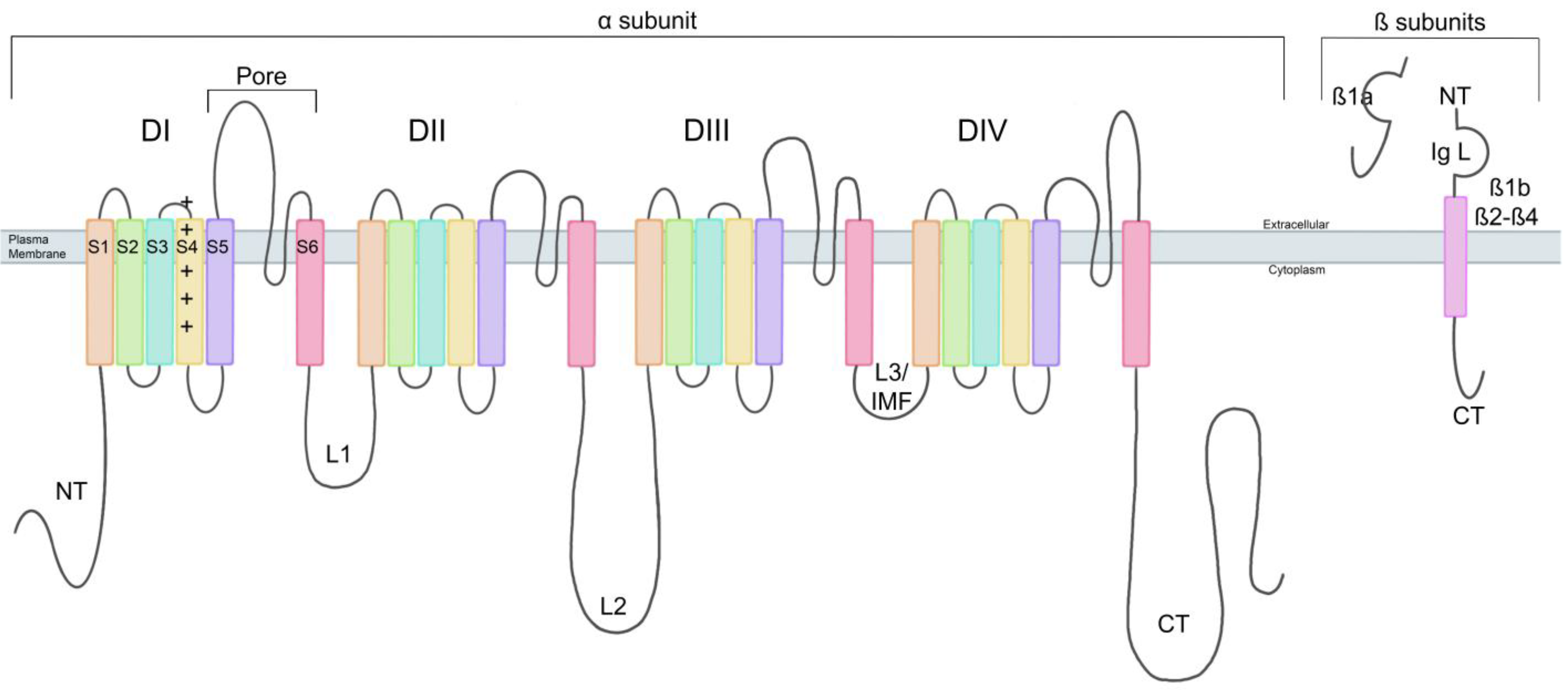 Biomedicines 13 02078 g001
