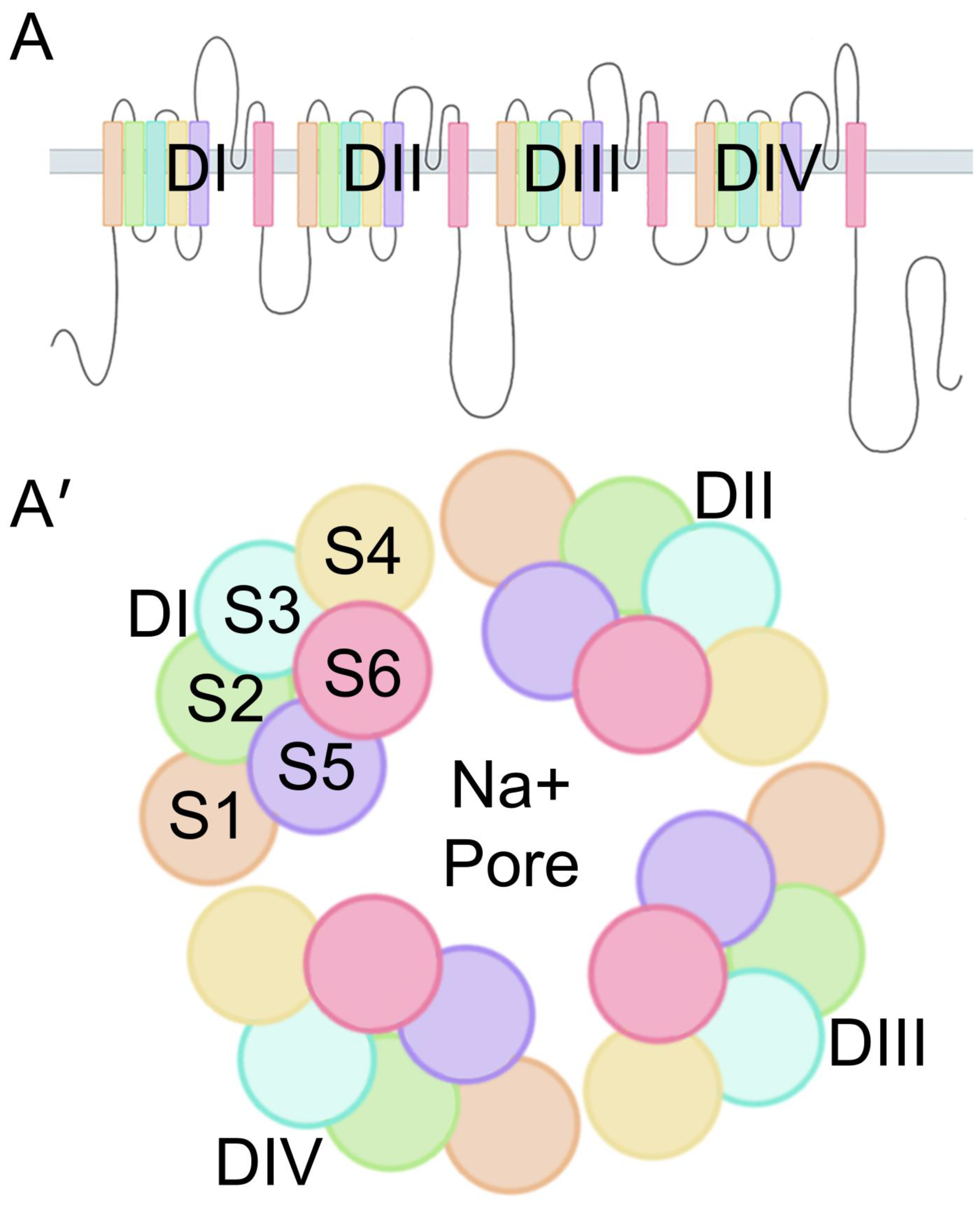 Biomedicines 13 02078 g002