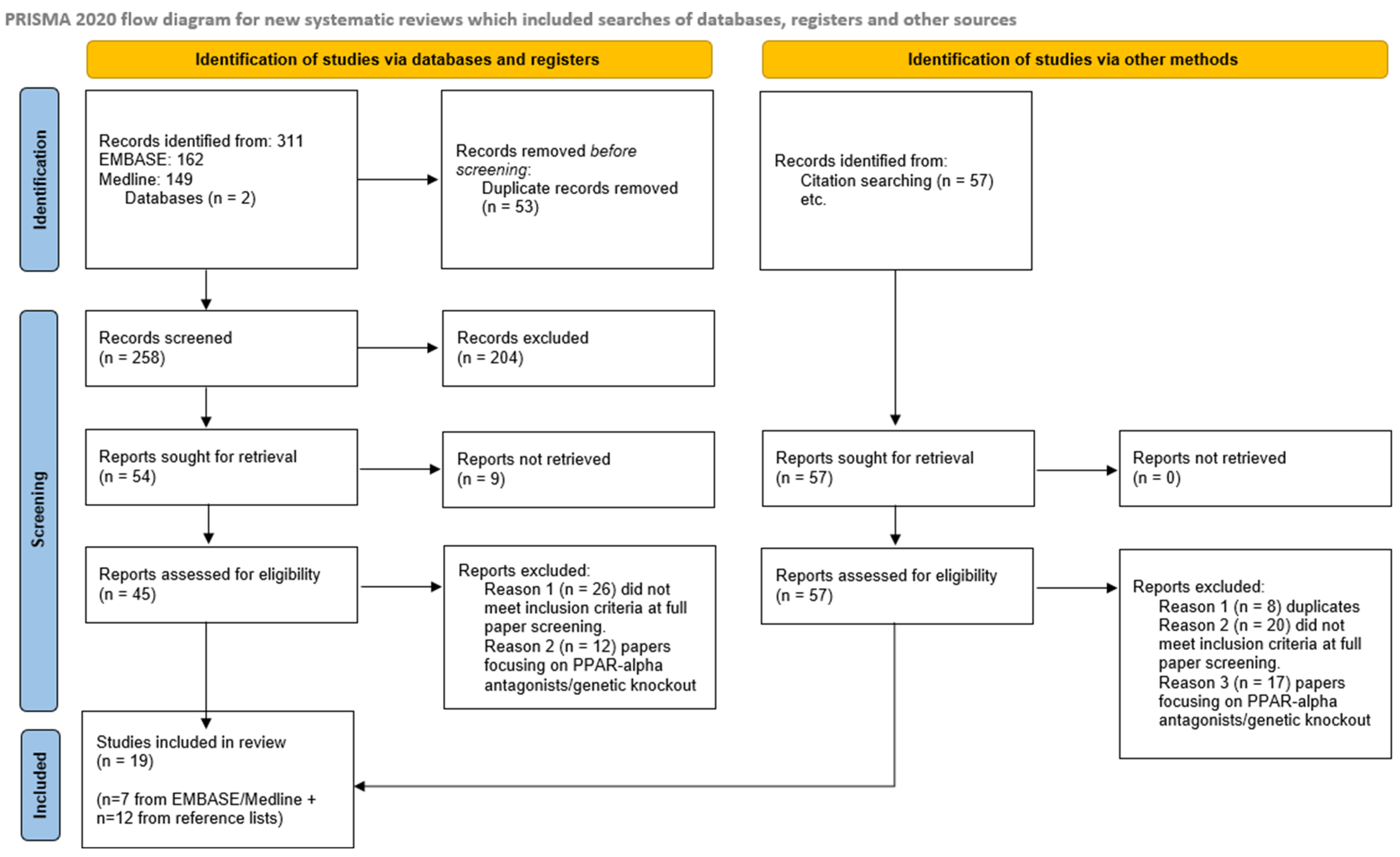 Biomedicines 13 02080 g001